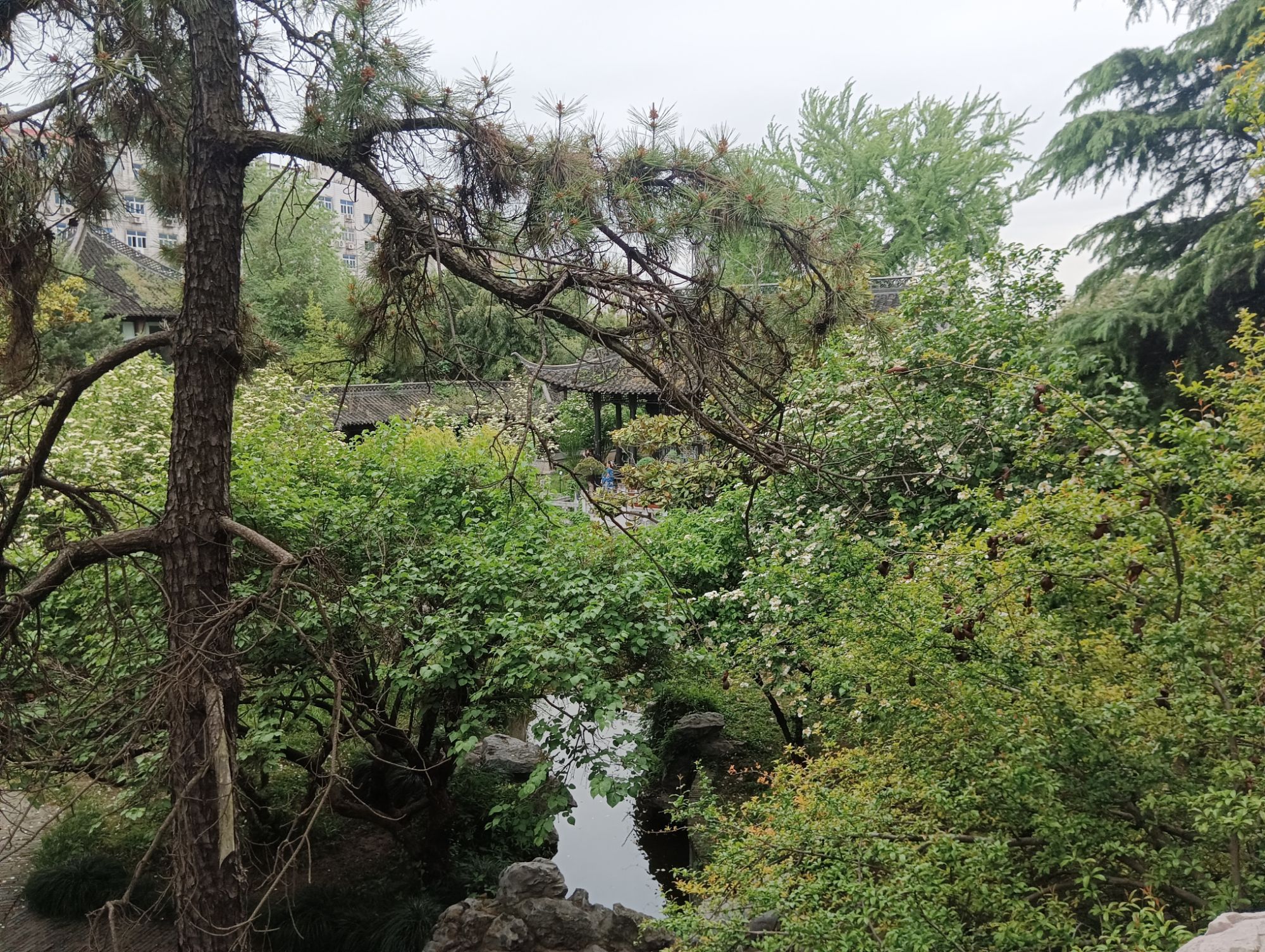 琼花观旅行图片 2