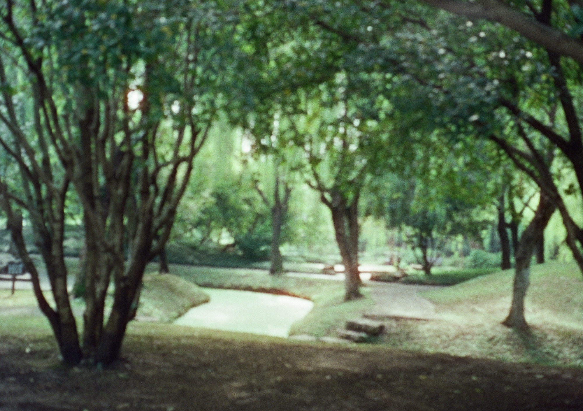 荷花池公园旅行图片 2