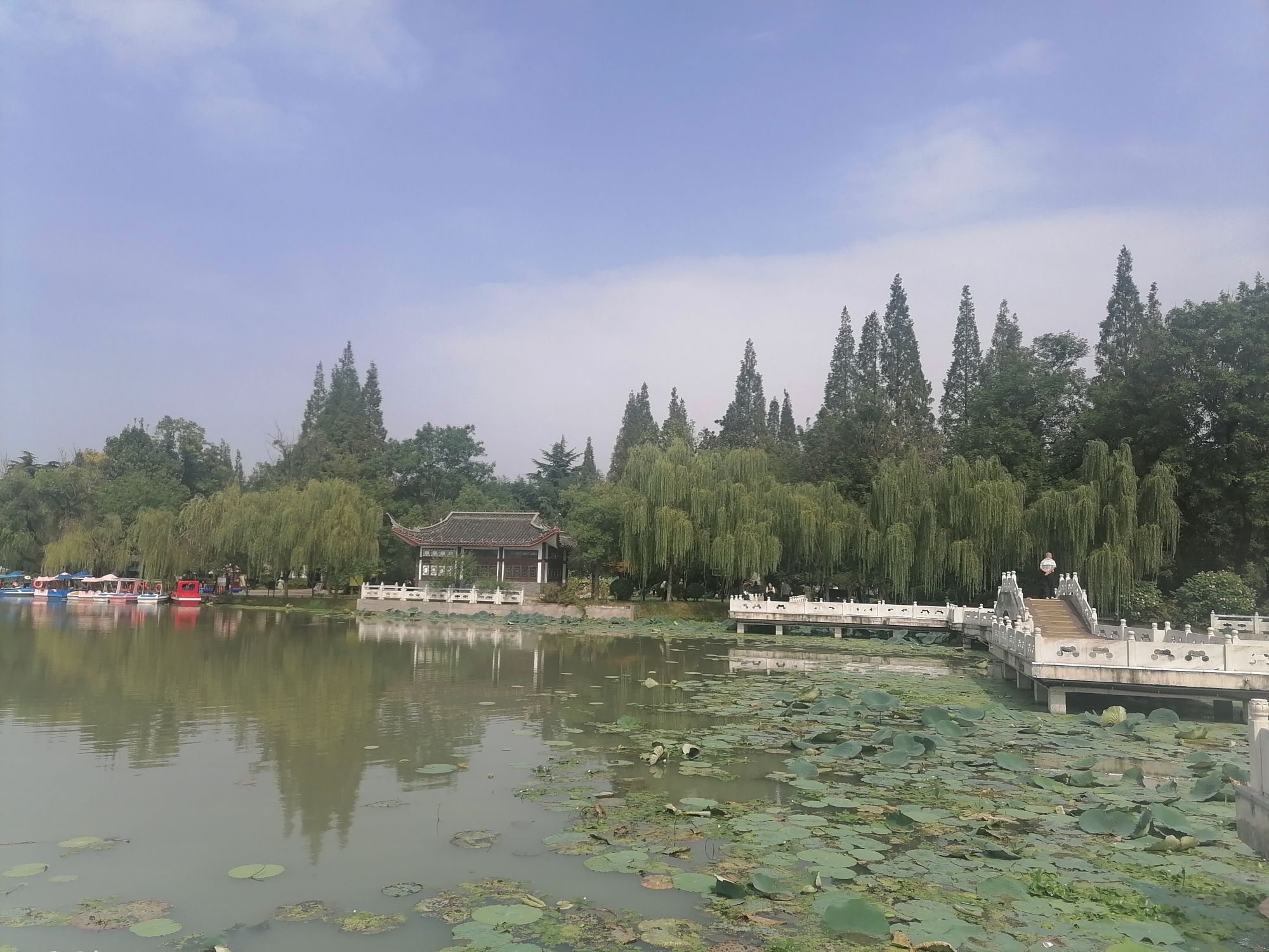 荷花池公园旅行图片 3