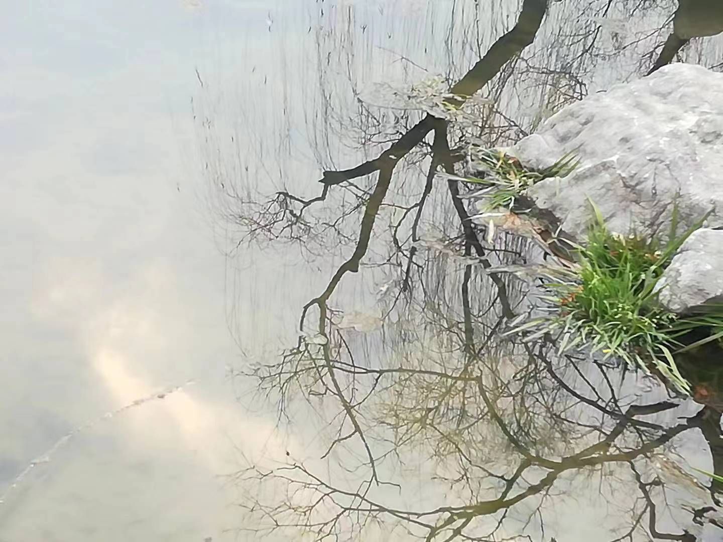 荷花池公园旅行图片 2