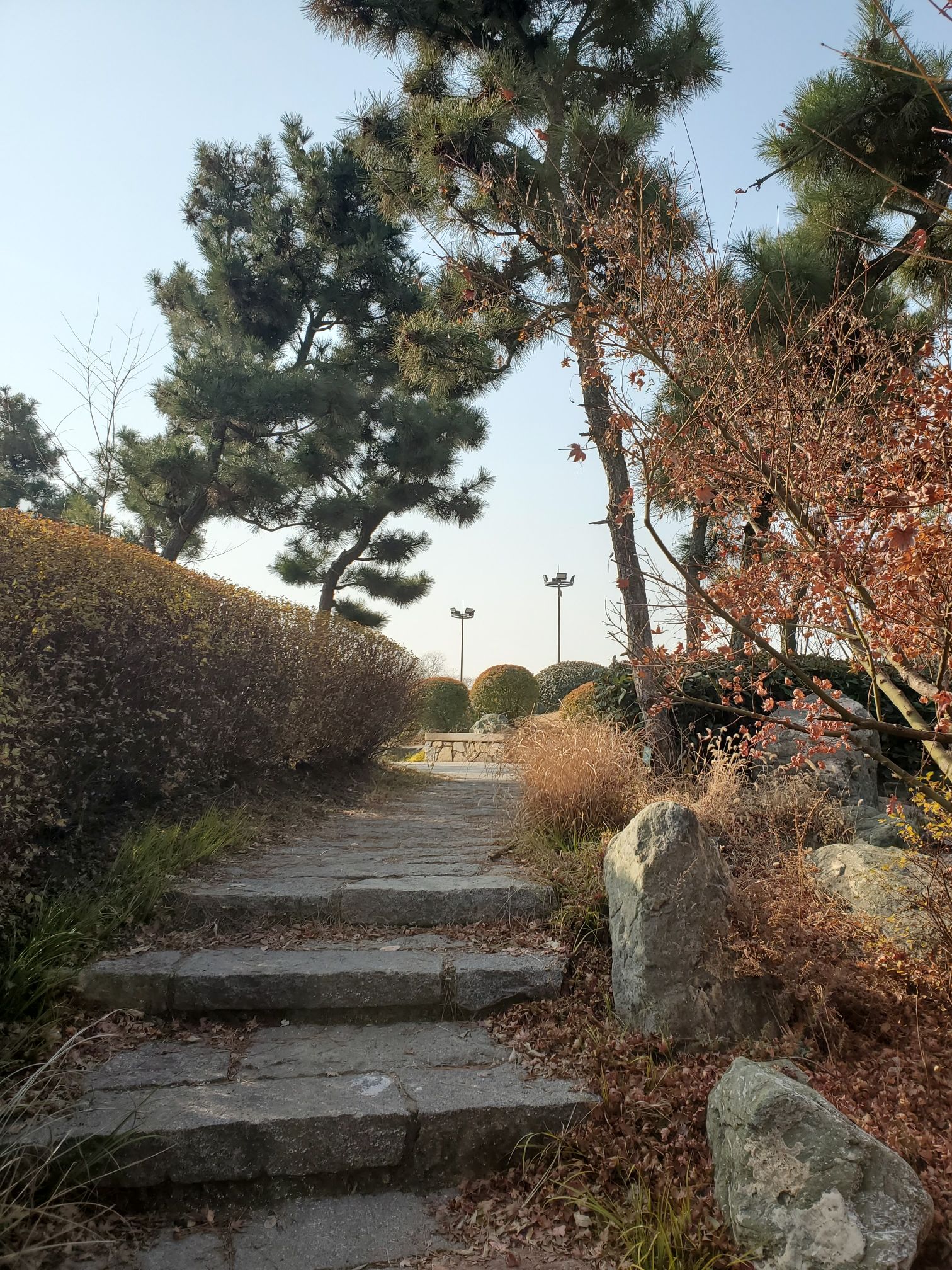 扬子江公园旅行图片 2