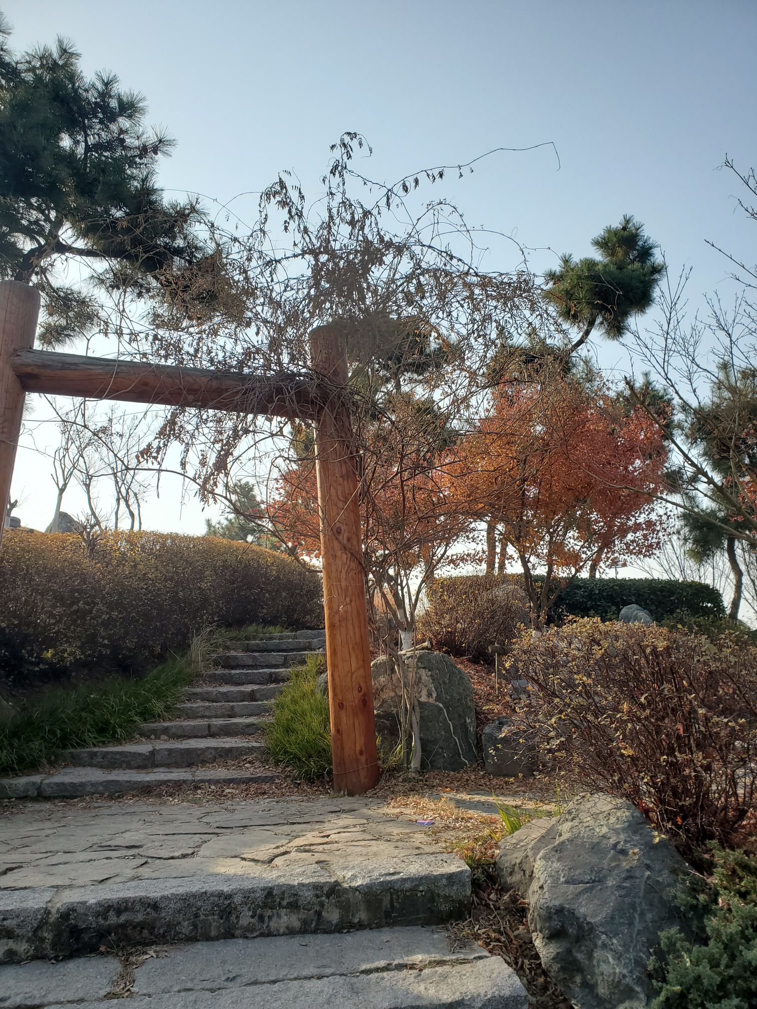 扬子江公园旅行图片 3