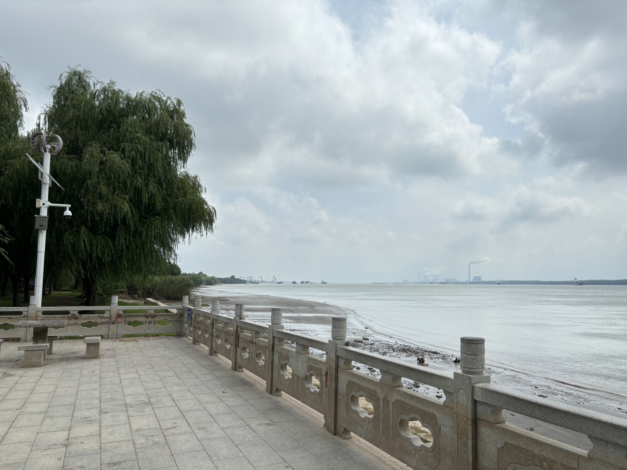 扬子江公园旅行图片 1