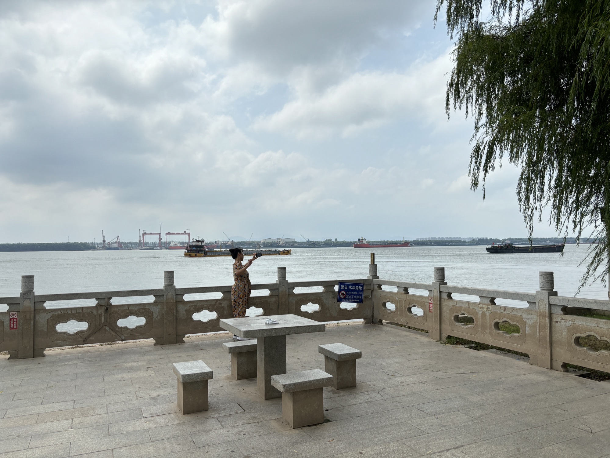 扬子江公园旅行图片 2