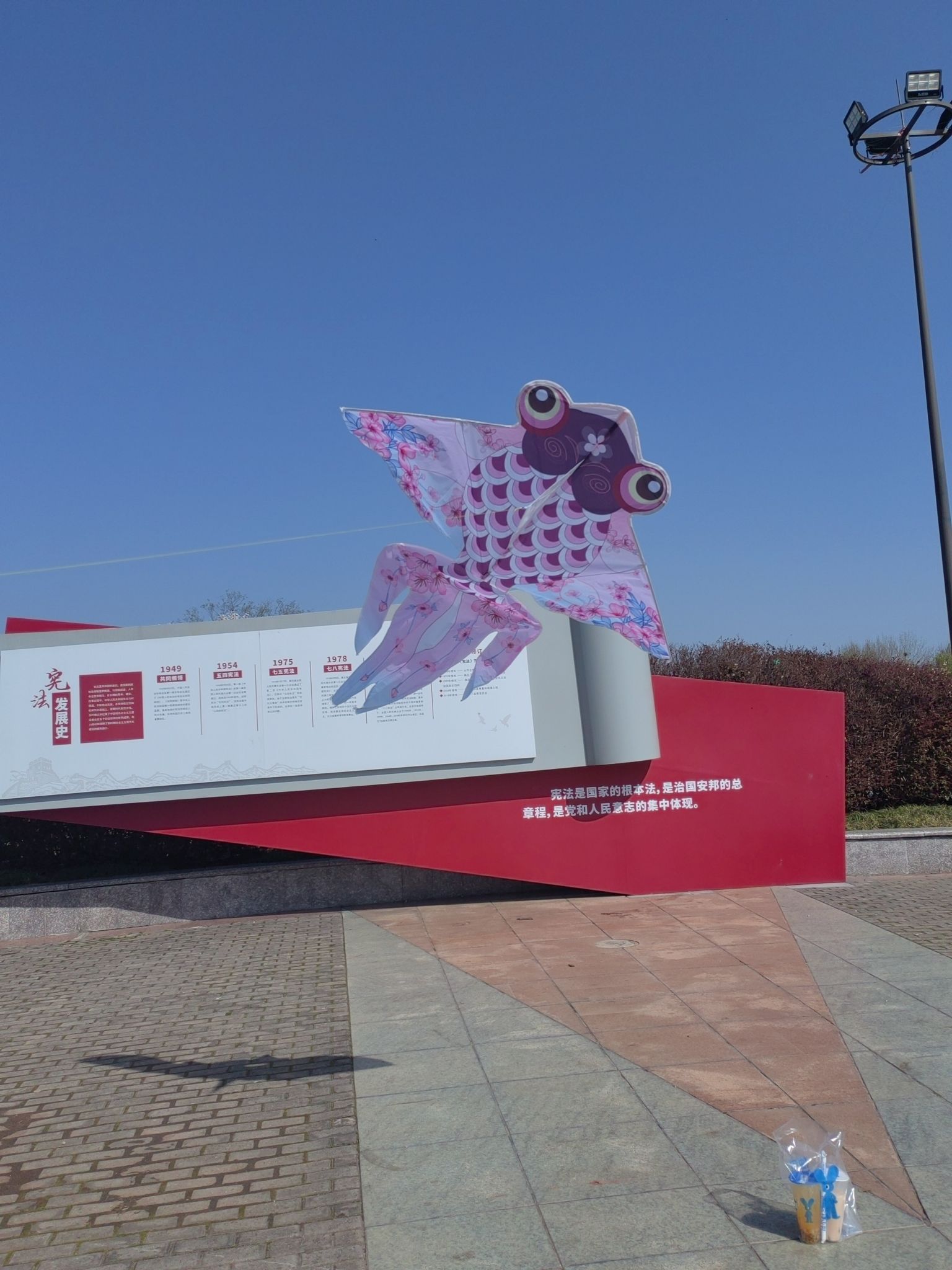 扬子江公园旅行图片 2