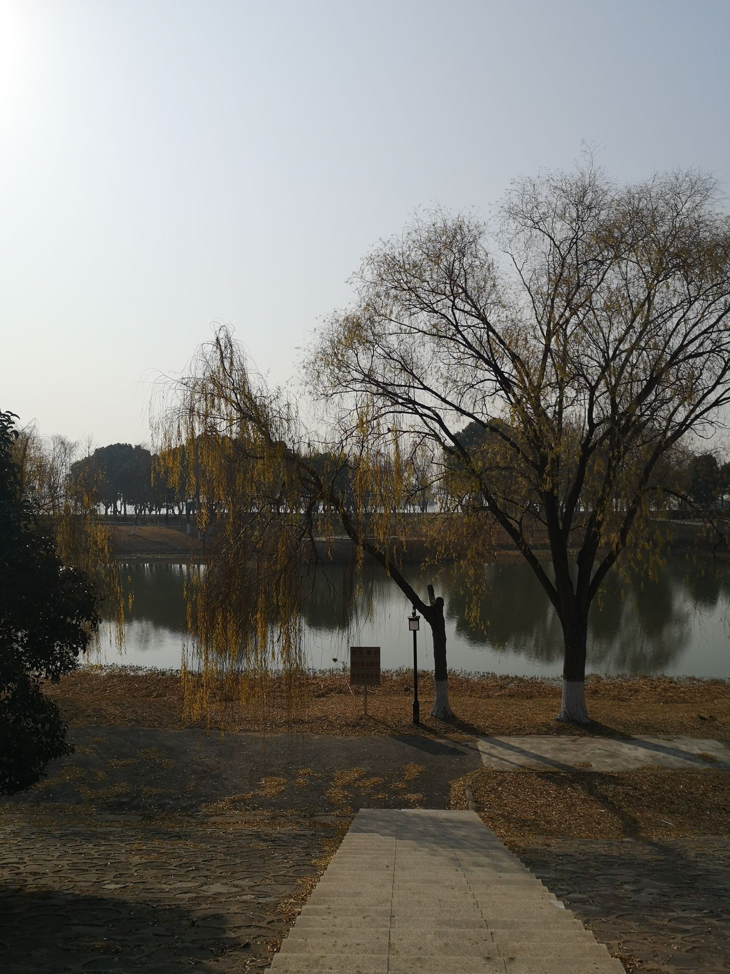 扬子江公园旅行图片 1