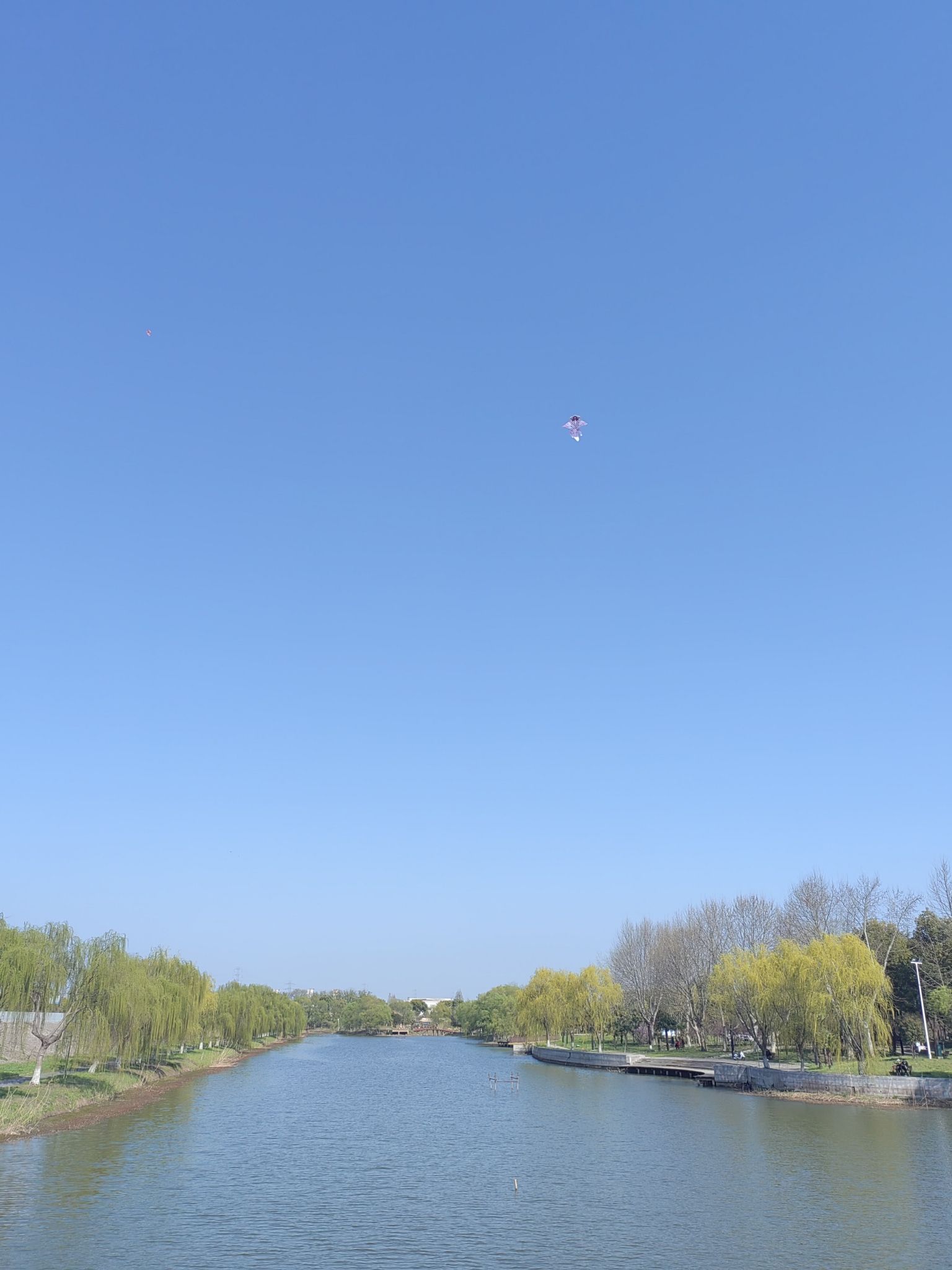 扬子江公园旅行图片 3