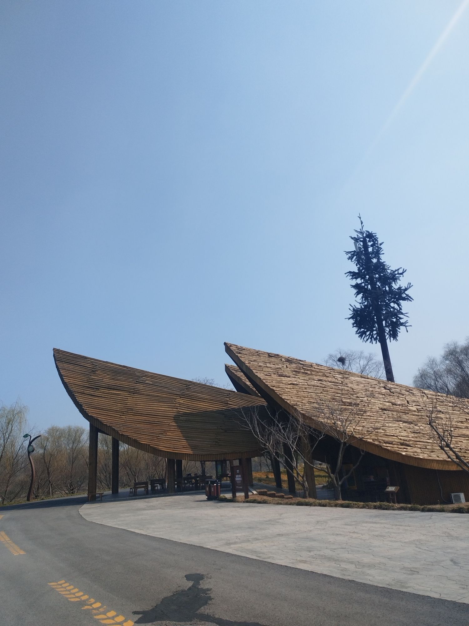扬州凤凰岛生态旅游区旅行图片 3