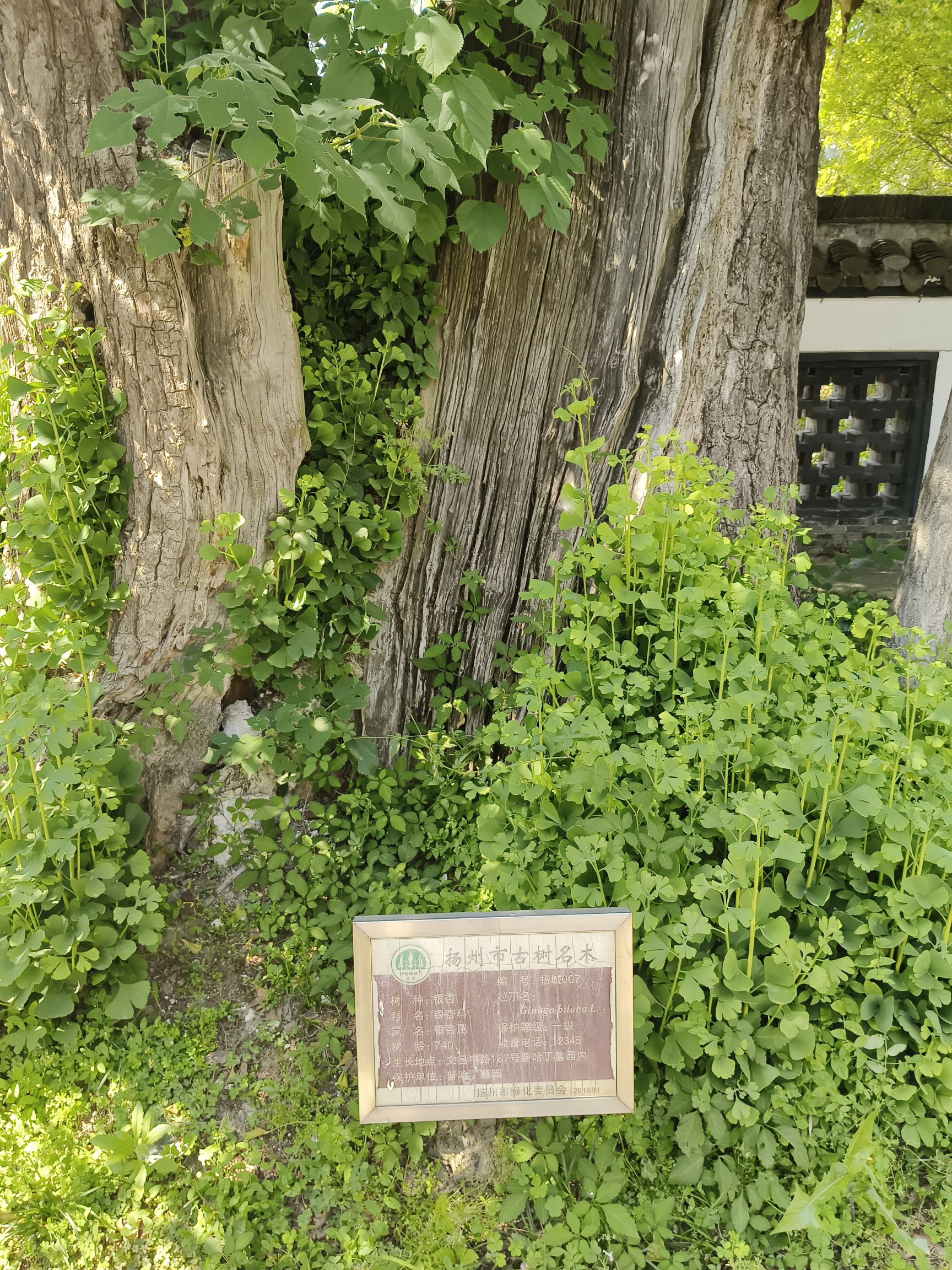 普哈丁园旅行图片 2