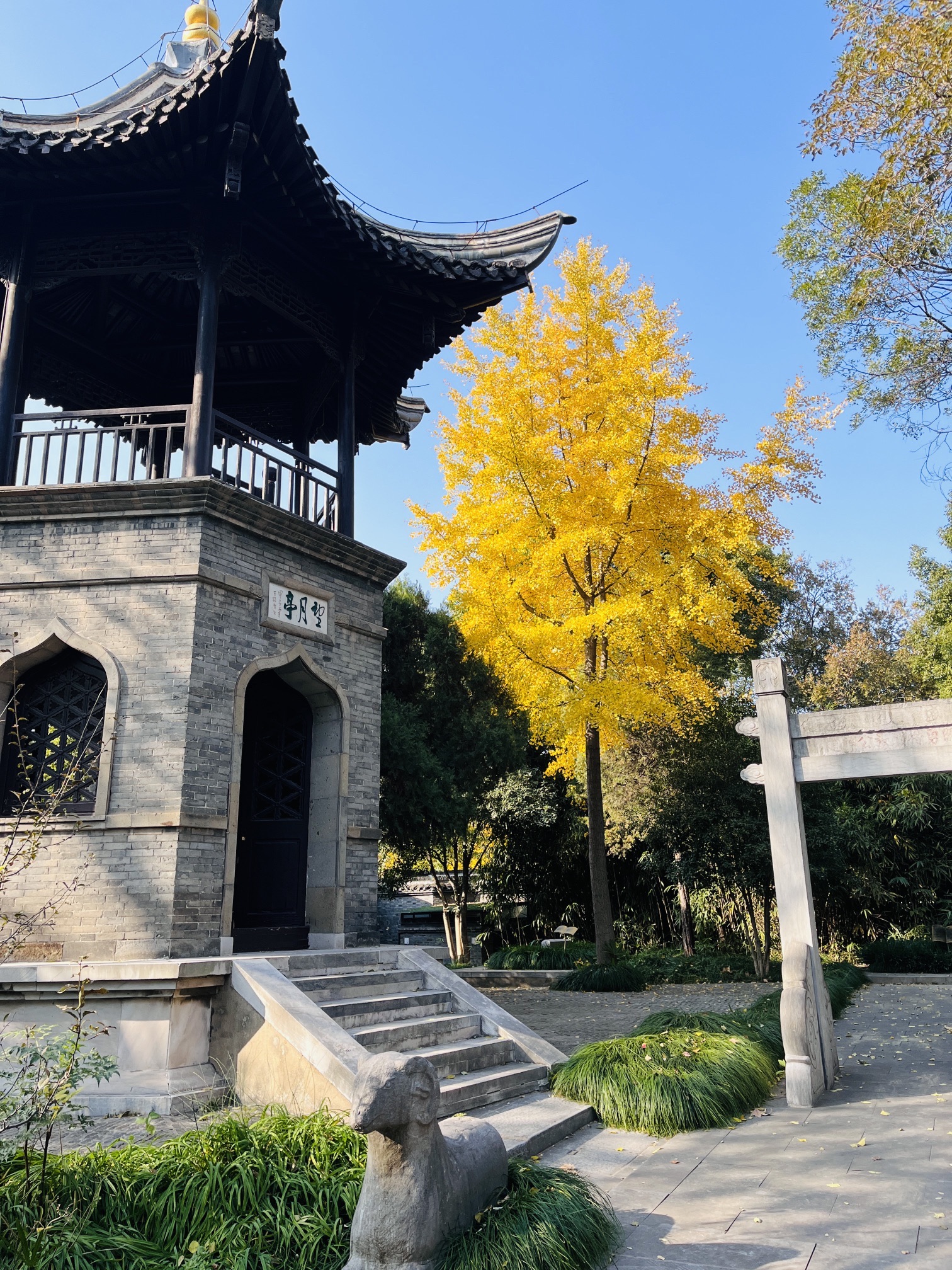 普哈丁园旅行图片 1