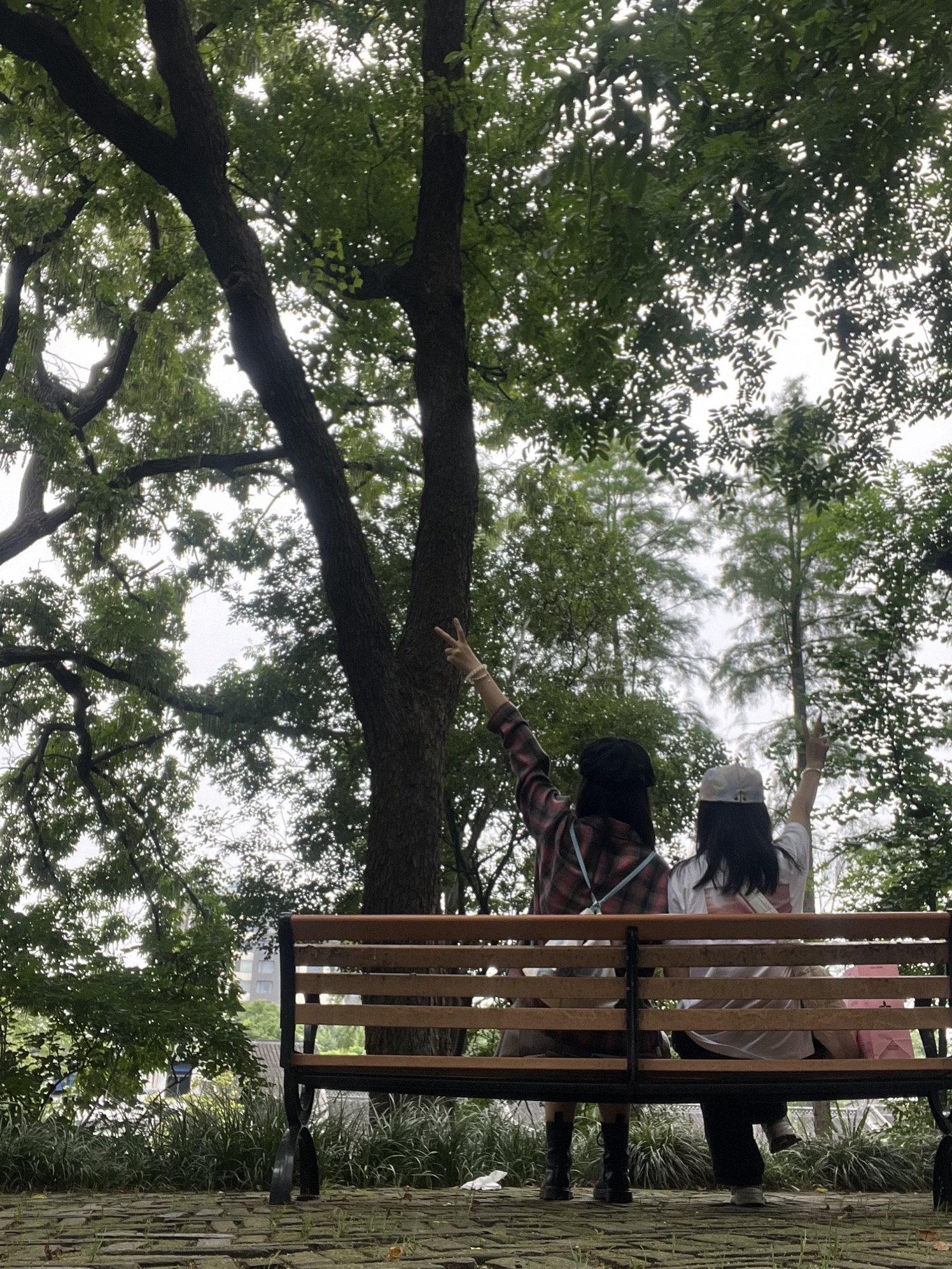 普哈丁园旅行图片 3