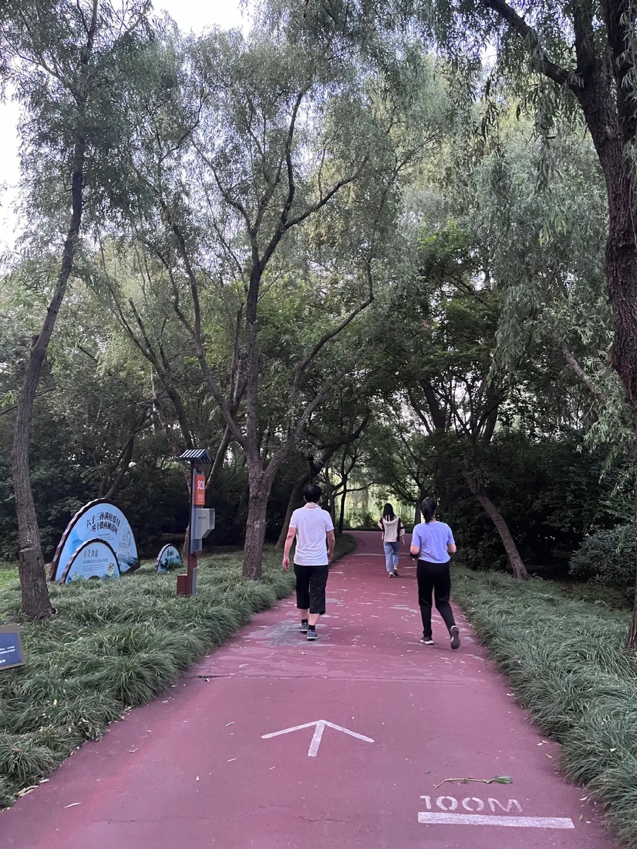 扬州体育公园旅行图片 1