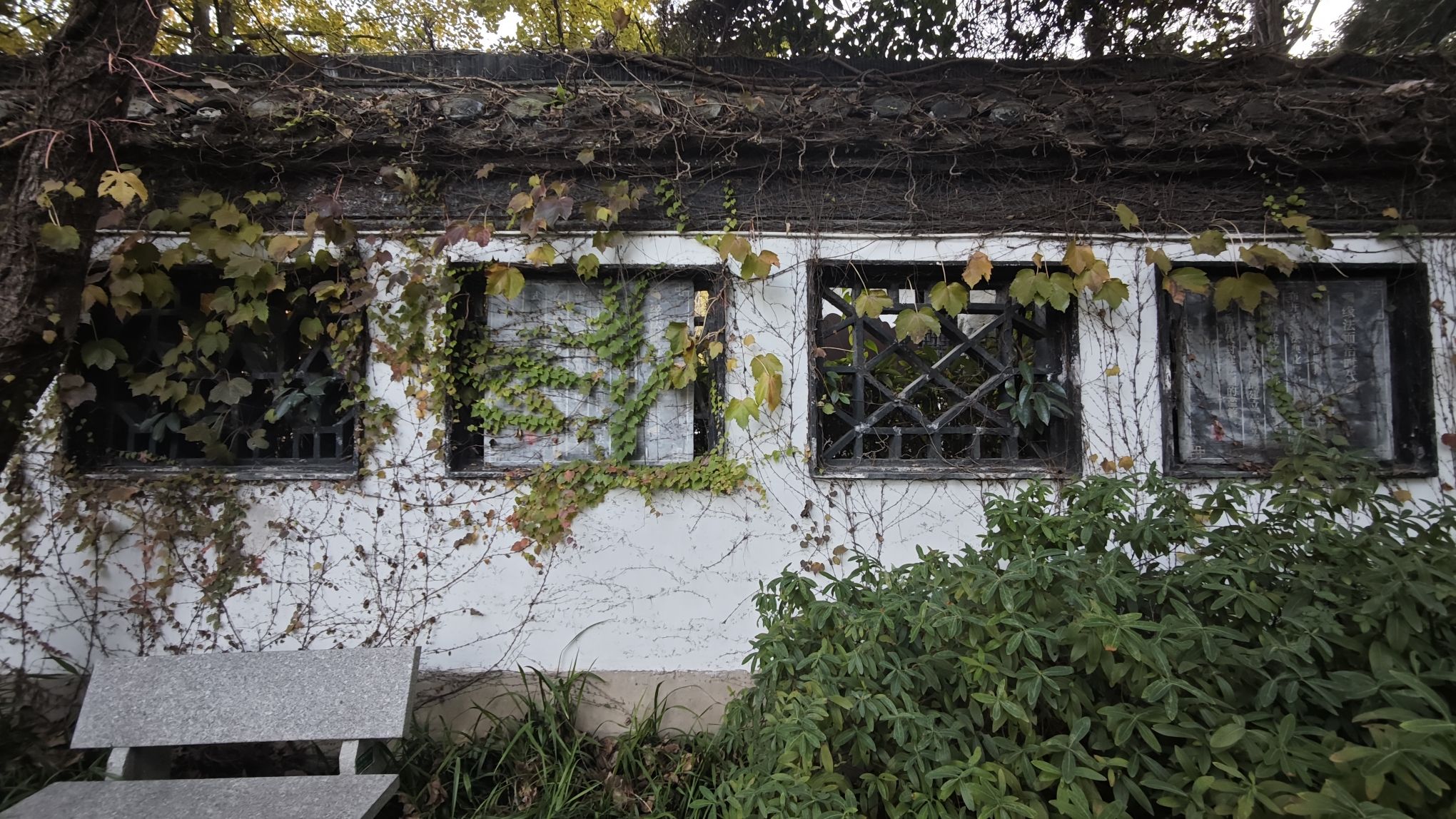 仙女公园旅行图片 3