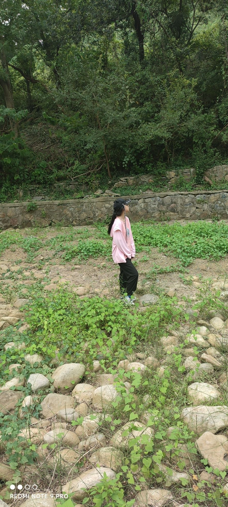 邵伯湖旅游度假区旅行图片 2