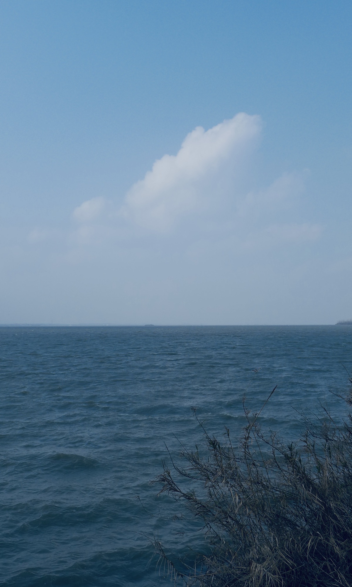 邵伯湖旅游度假区旅行图片 3