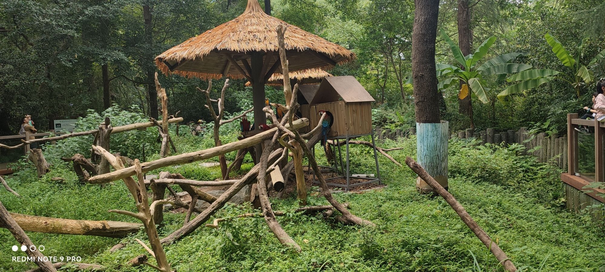 邵伯湖旅游度假区旅行图片 1