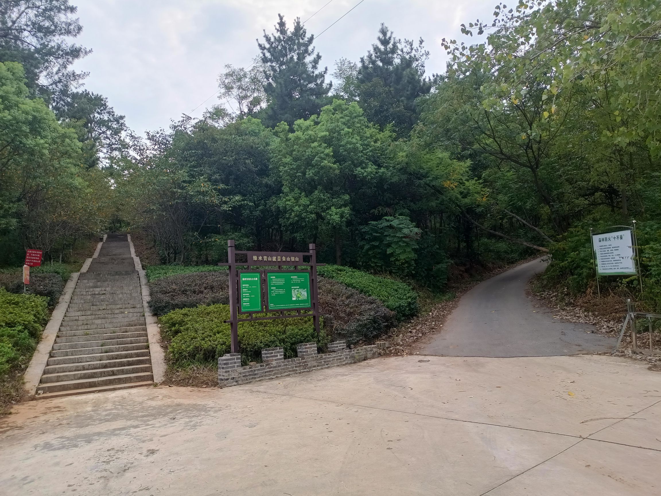扬州西郊森林公园旅行图片 3