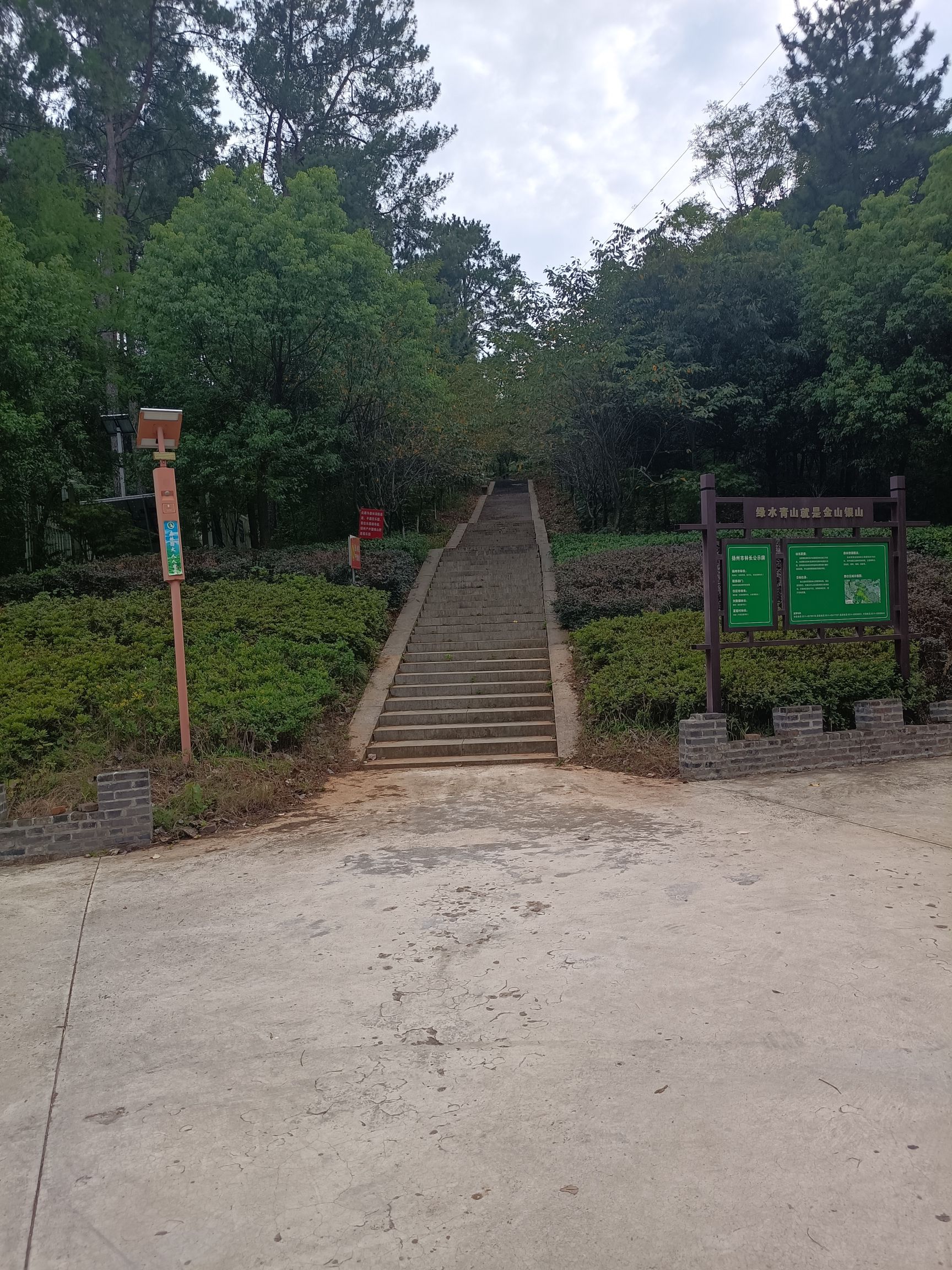 扬州西郊森林公园旅行图片 2