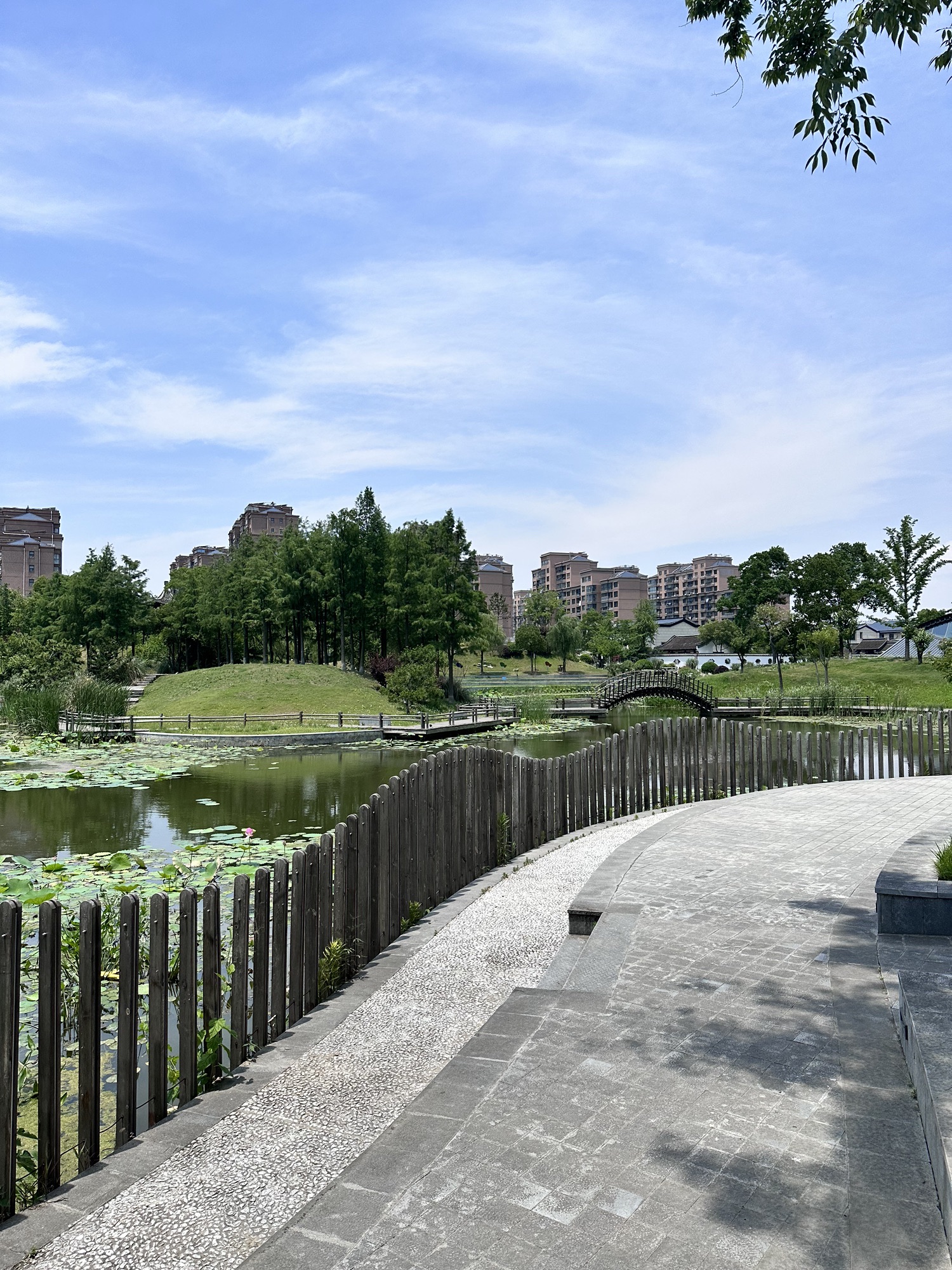竹西公园旅行图片 3