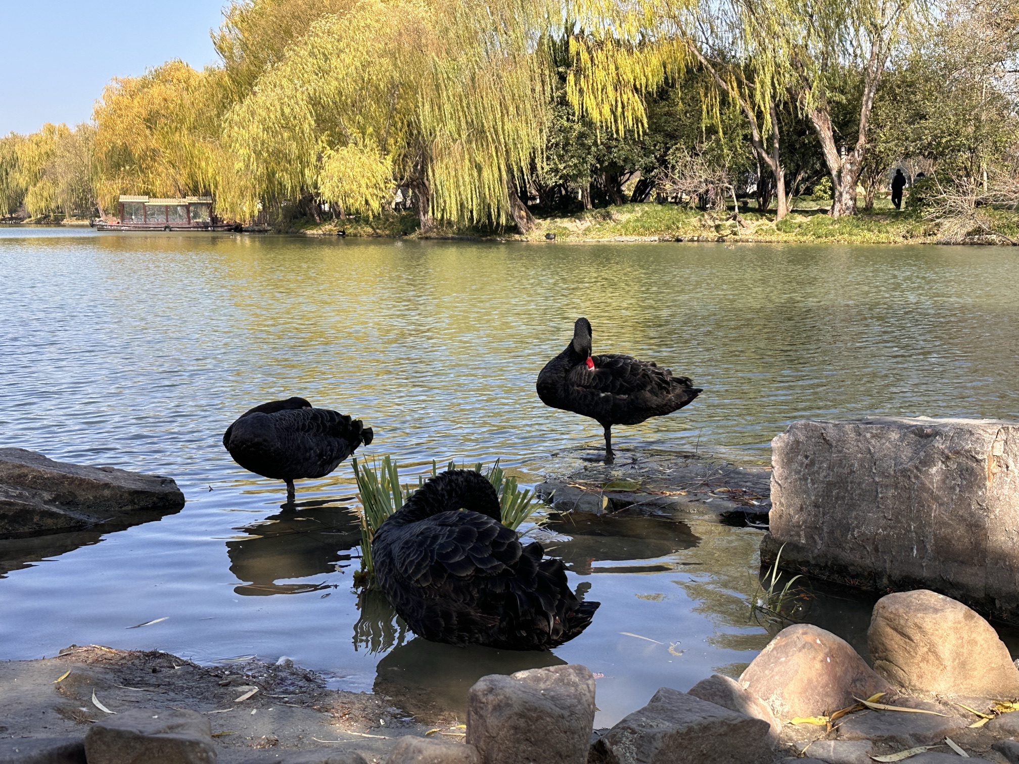 蜀冈-瘦西湖风景名胜区旅行图片 1