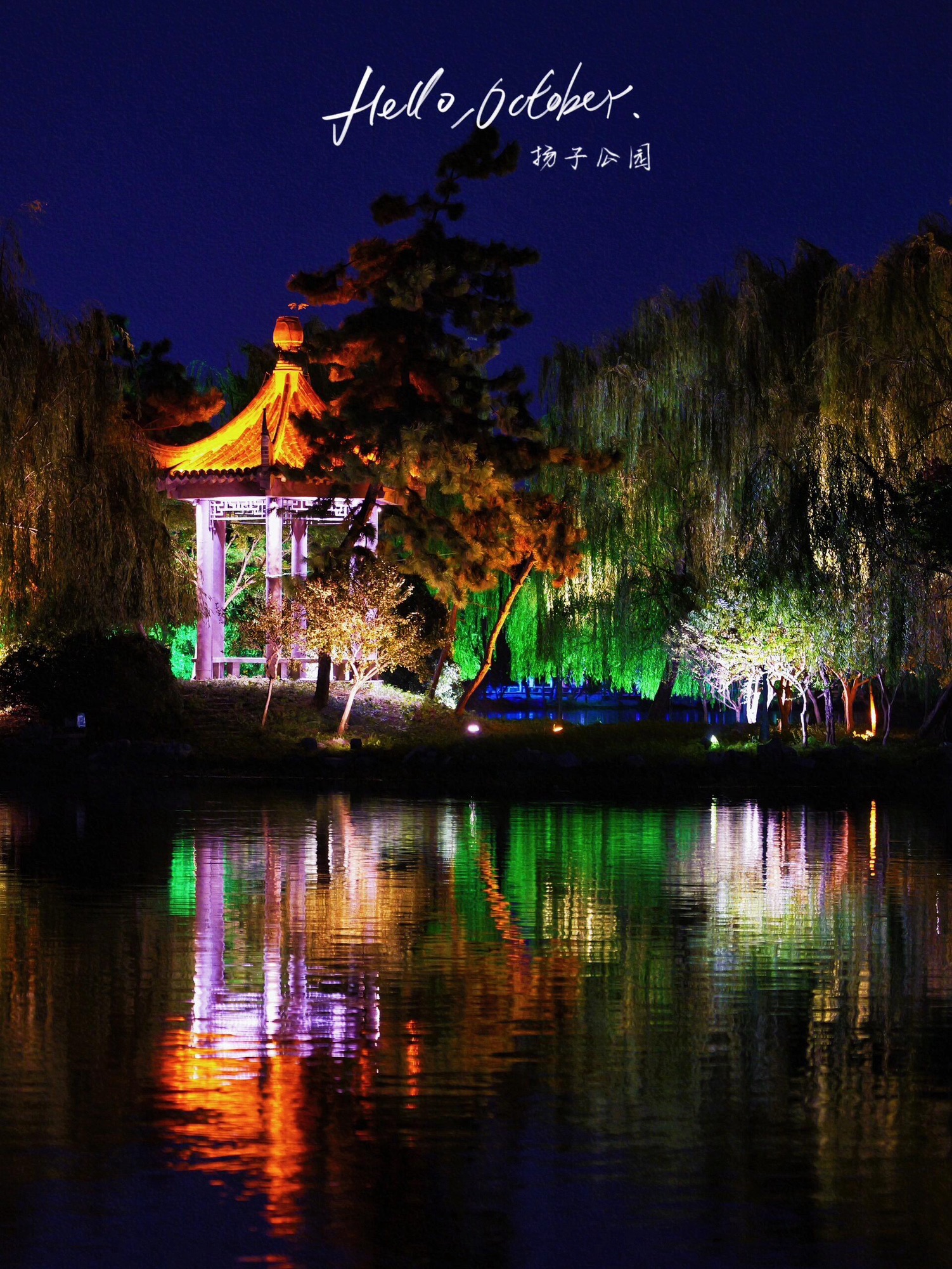 扬子公园旅行图片 2