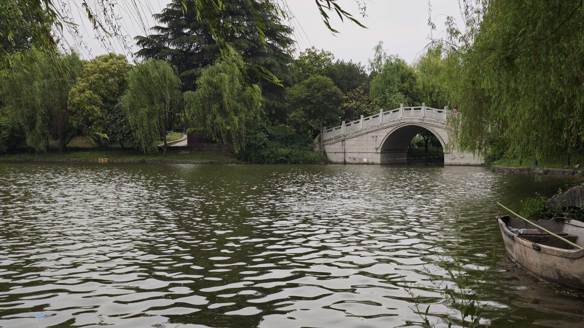 扬子公园旅行图片 2