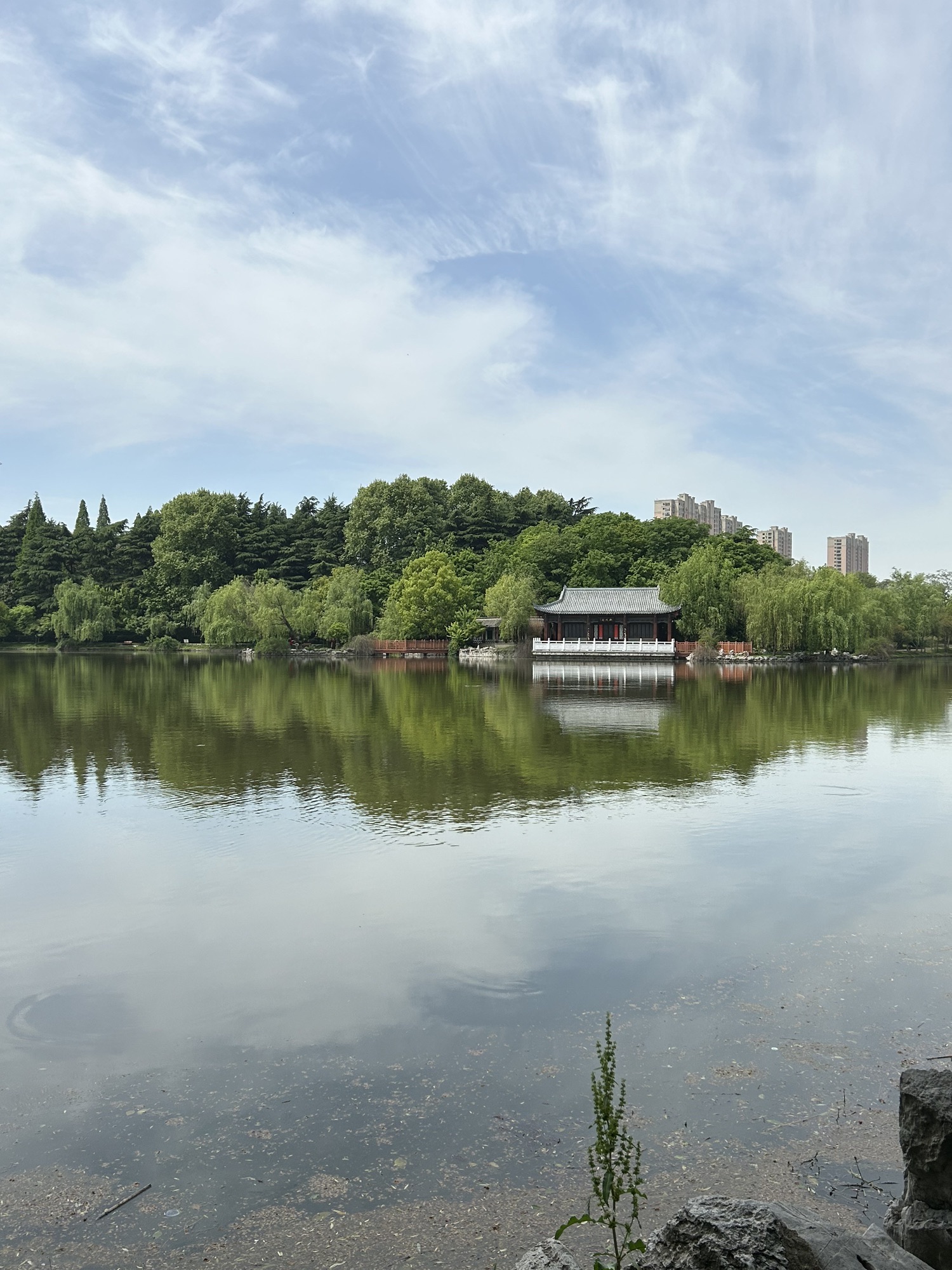 扬子公园
