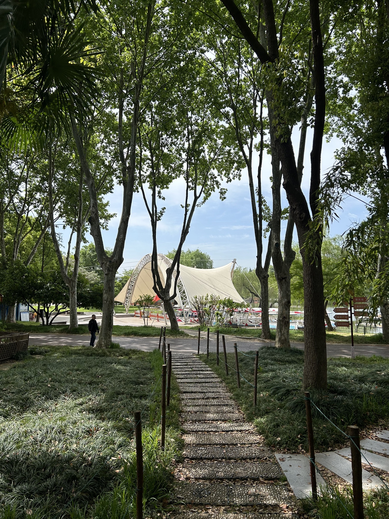 扬子公园旅行图片 2