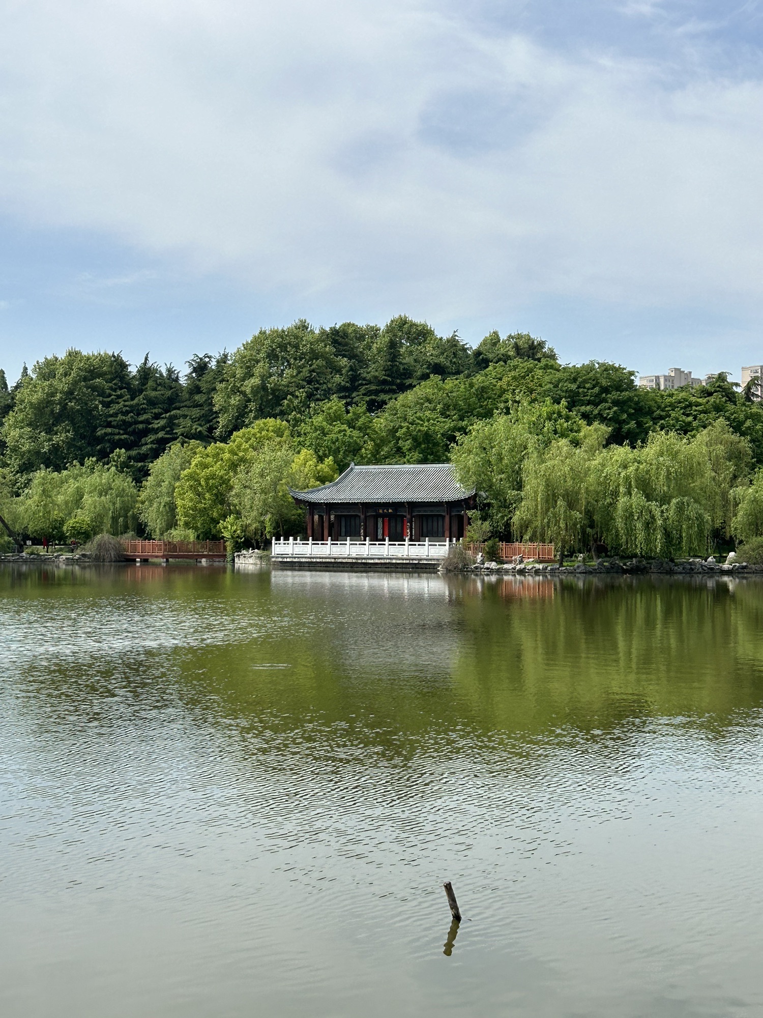 扬子公园旅行图片 3