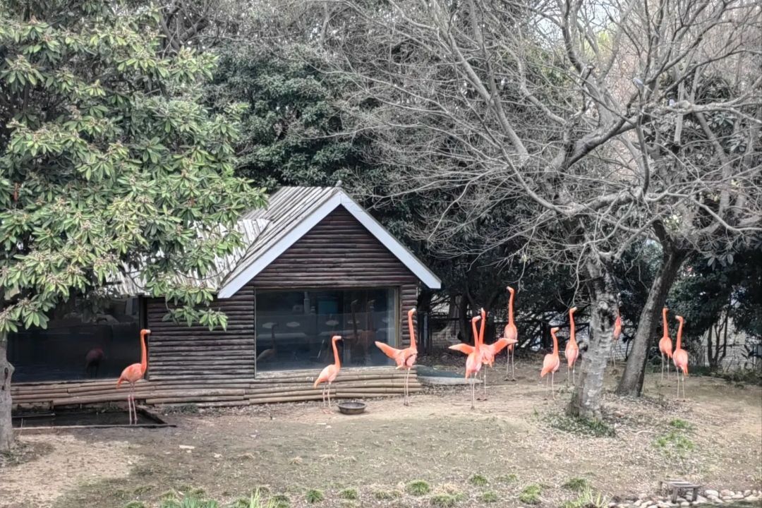 茱萸湾风景区旅行图片 2
