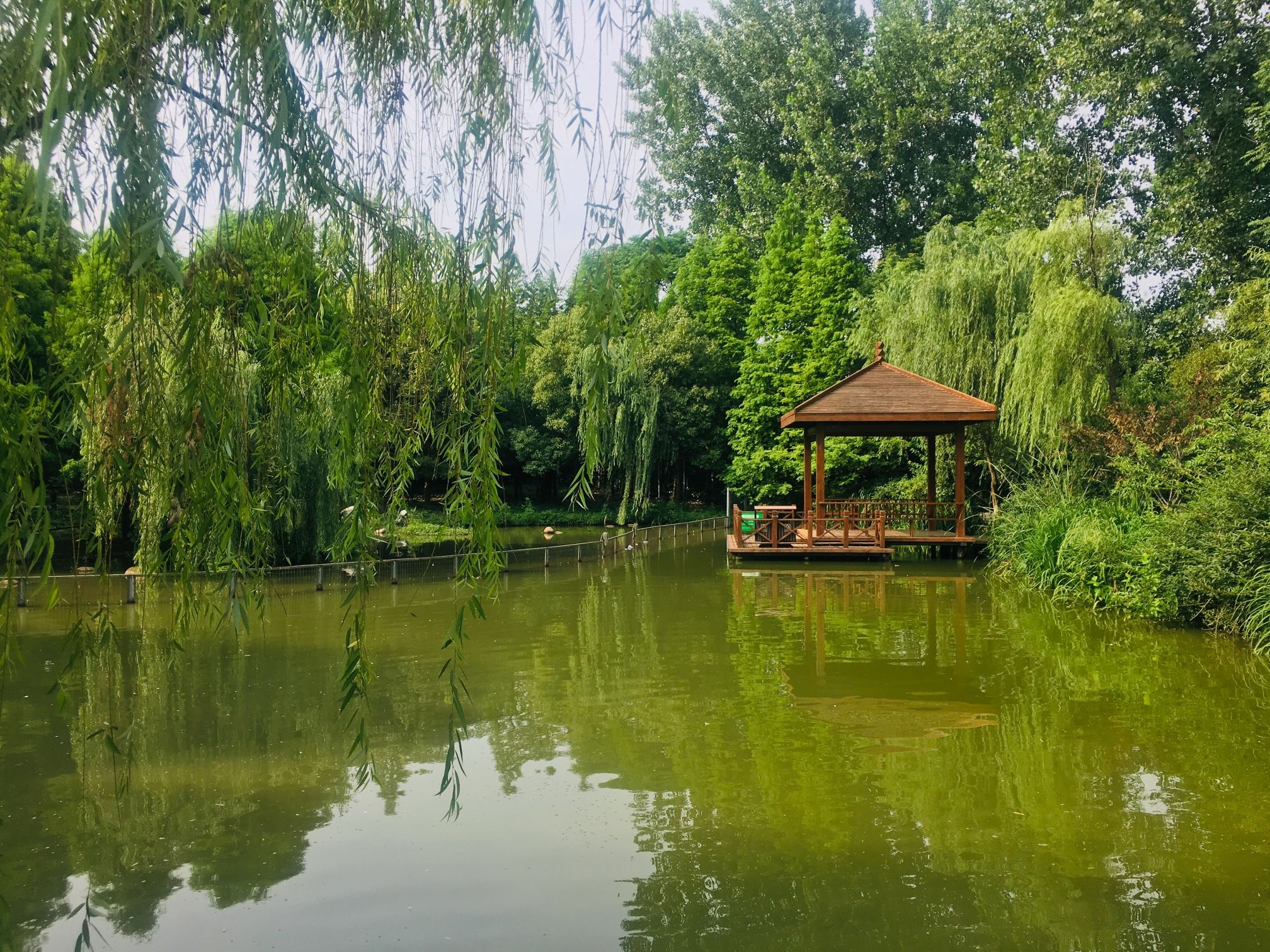 茱萸湾风景区旅行图片 3