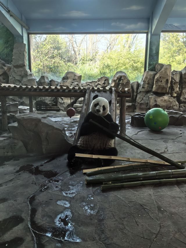 茱萸湾风景区旅行图片 1