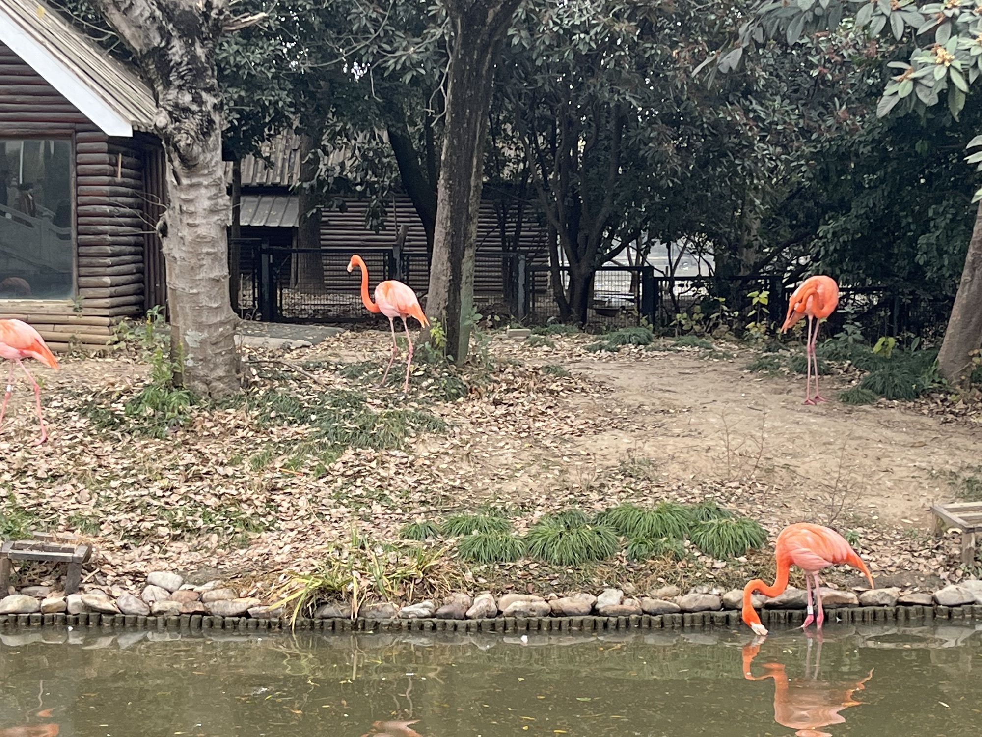 茱萸湾风景区旅行图片 3