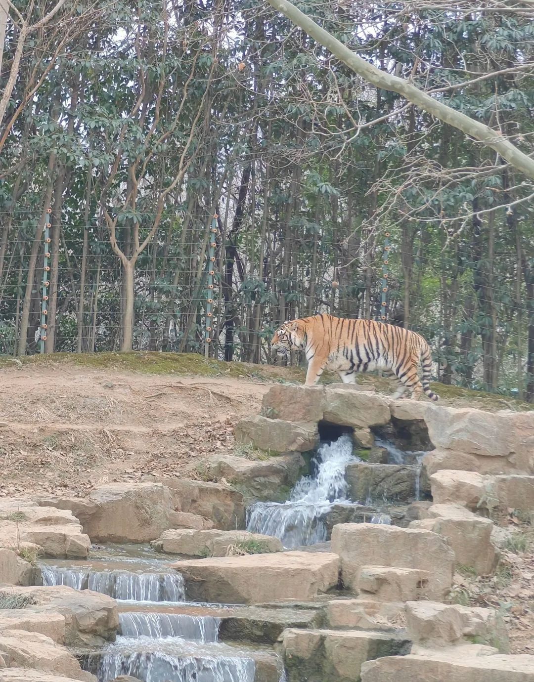 茱萸湾风景区旅行图片 3