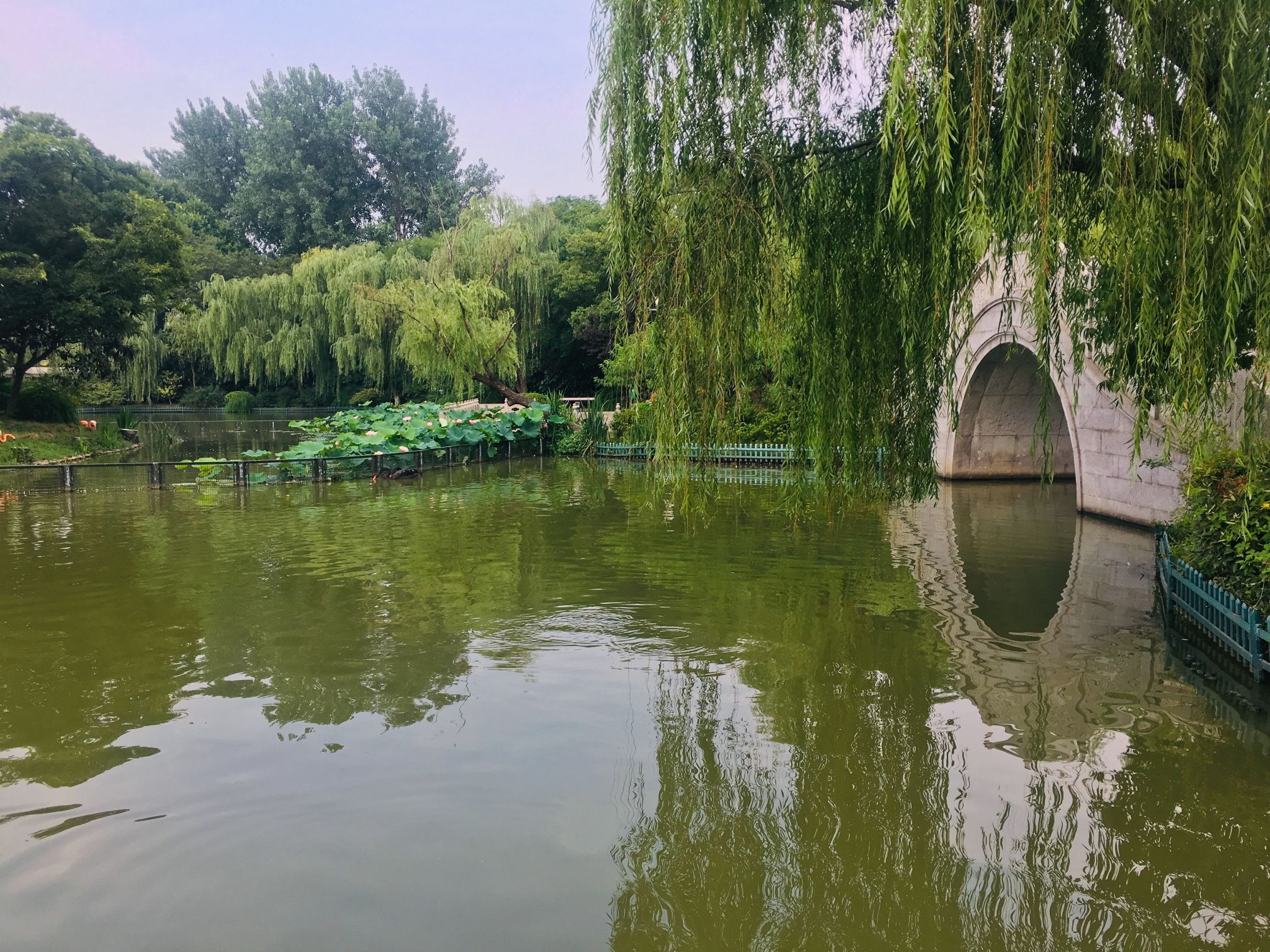 茱萸湾风景区旅行图片 1