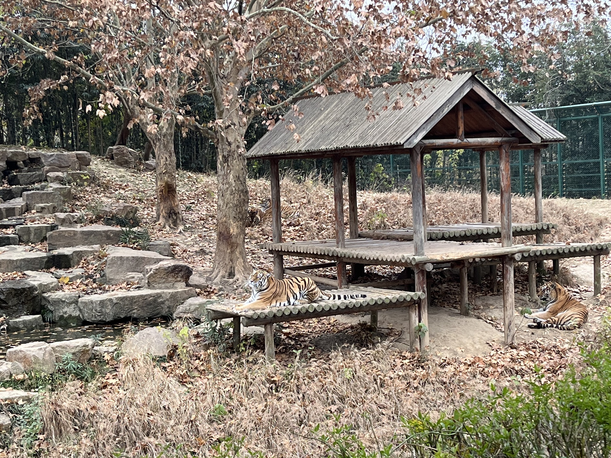 茱萸湾风景区旅行图片 2