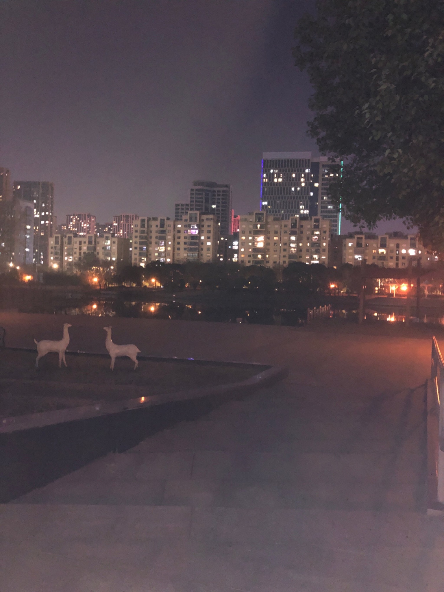 蝶湖公园旅行图片 1