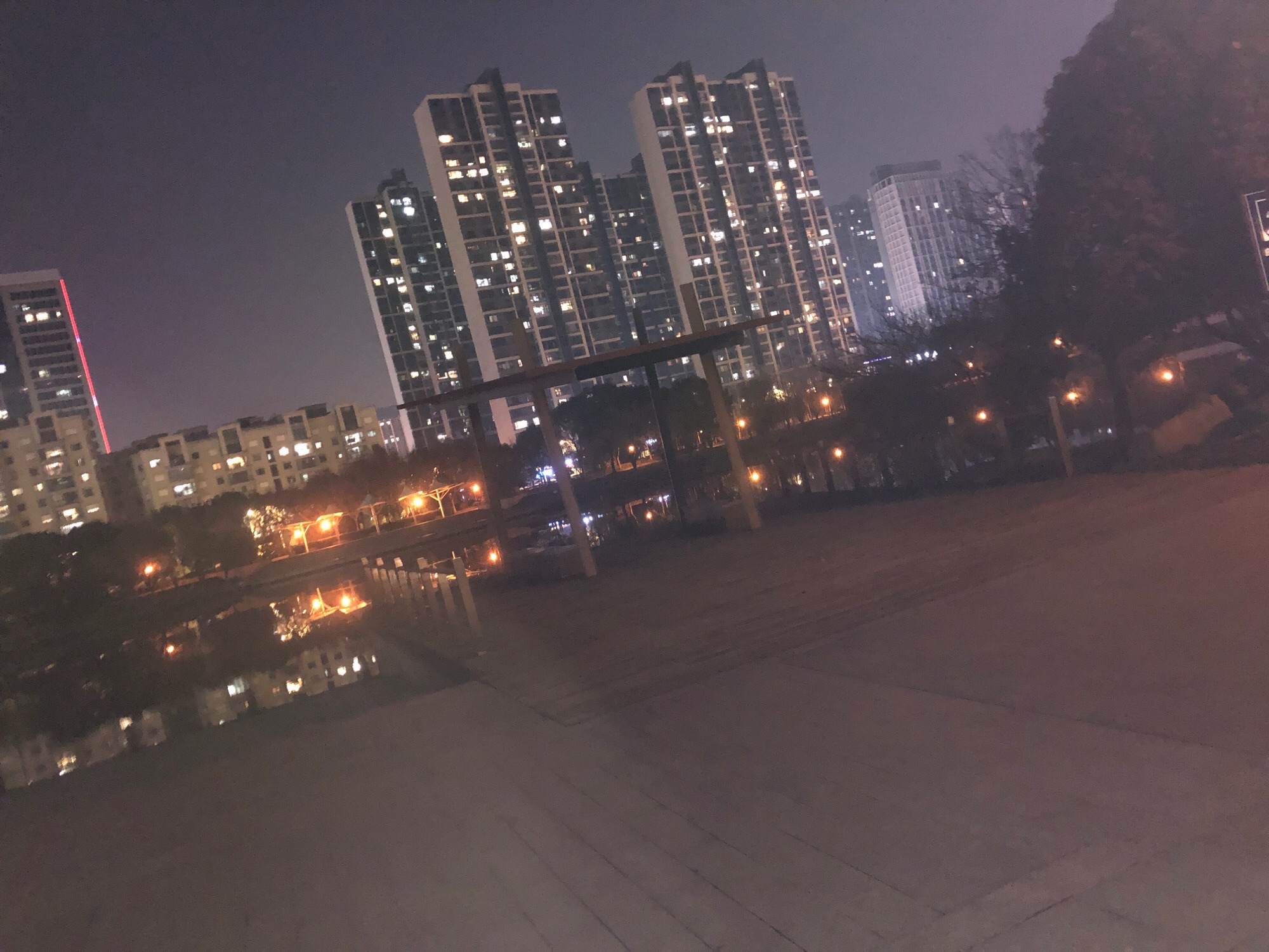 蝶湖公园旅行图片 3