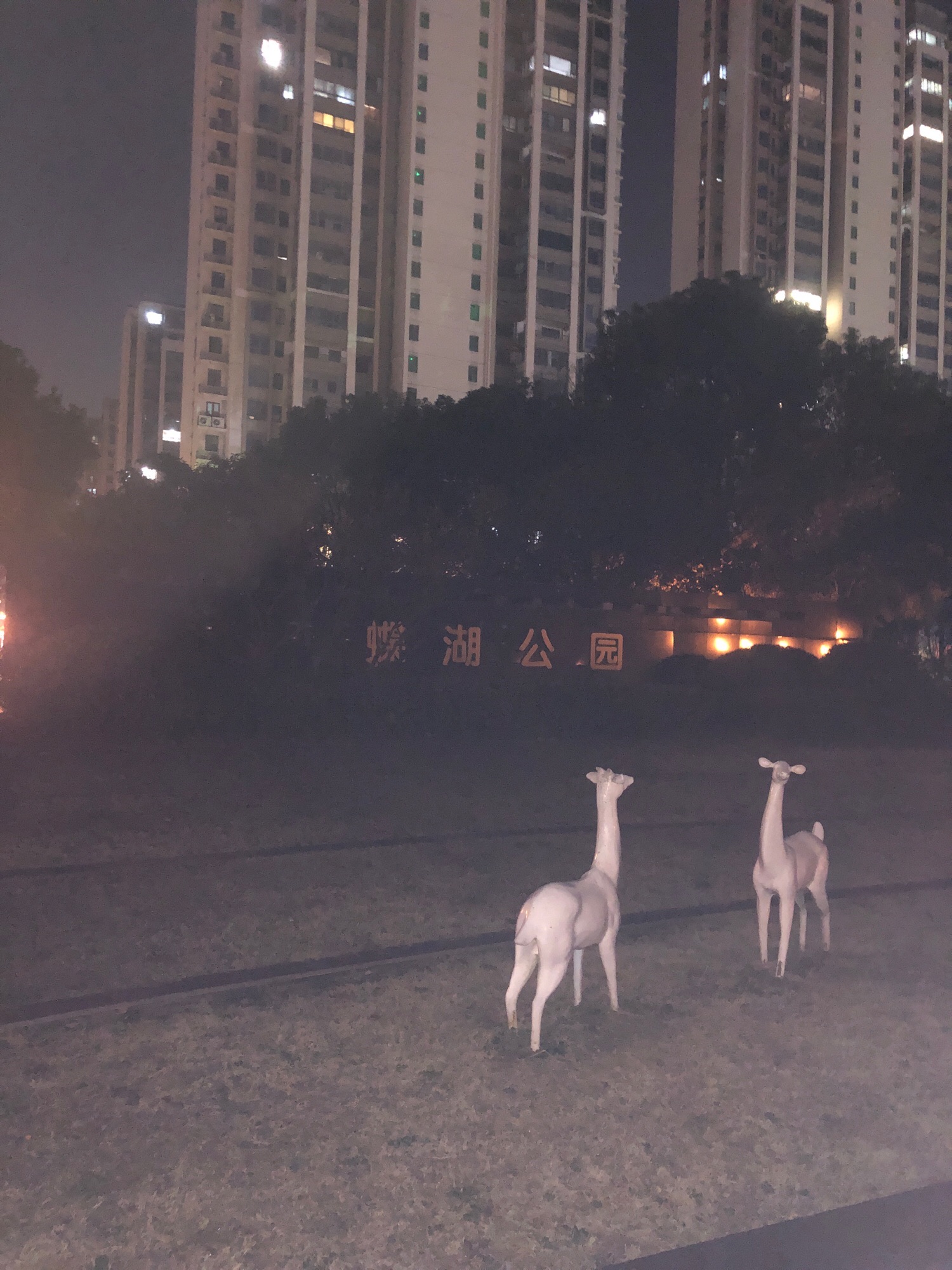 蝶湖公园旅行图片 2