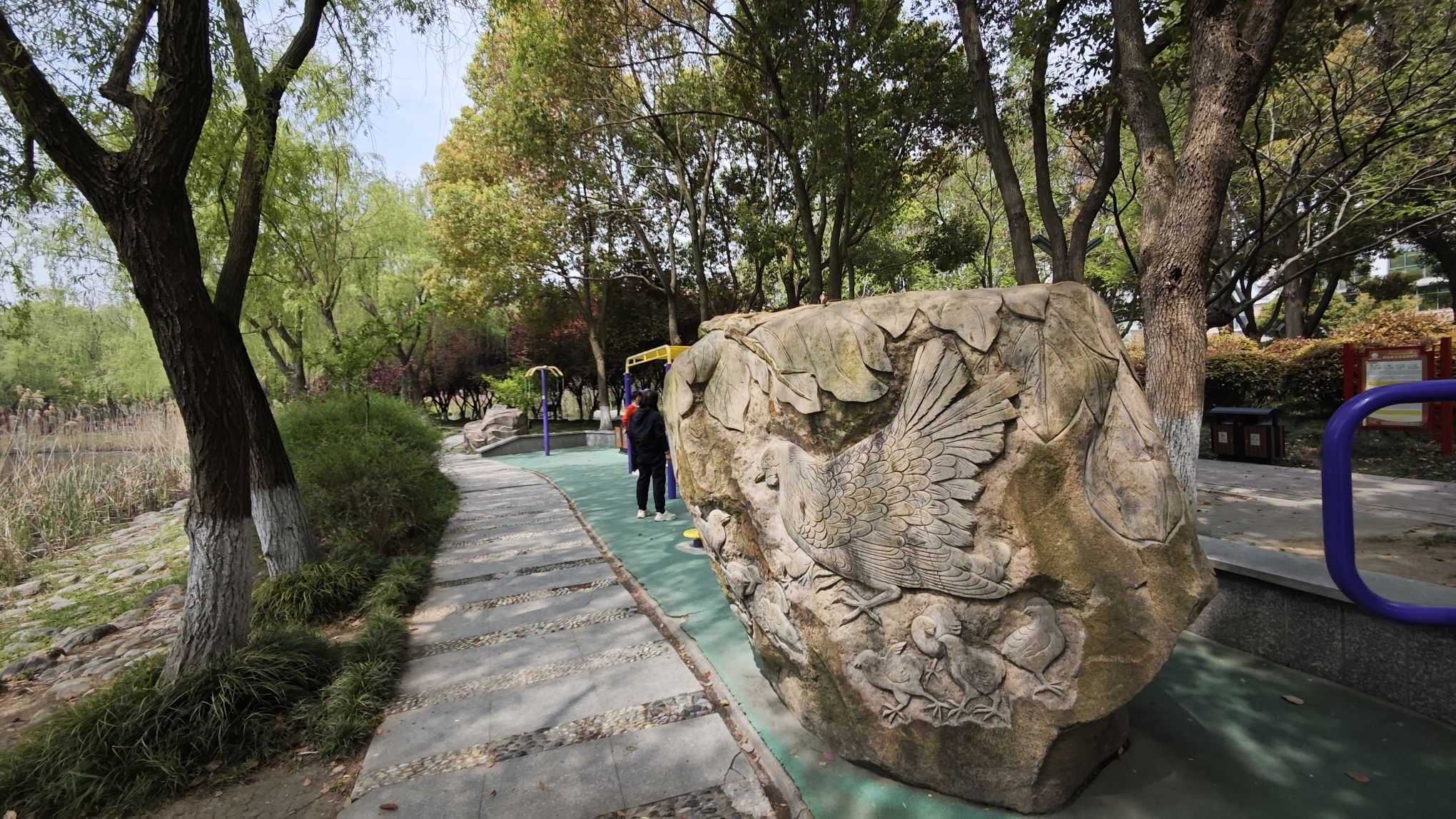 北河公园旅行图片 3