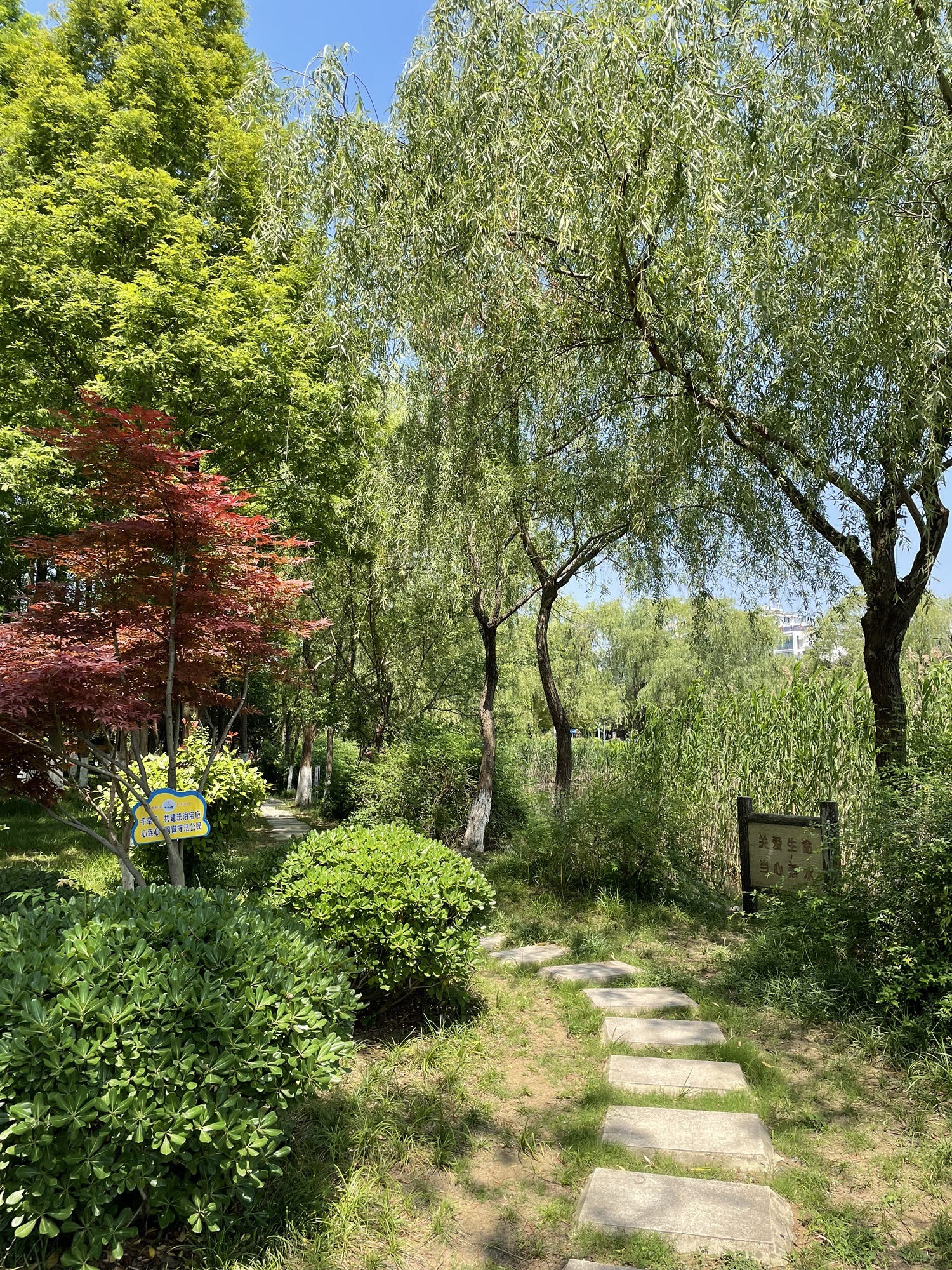 北河公园旅行图片 3