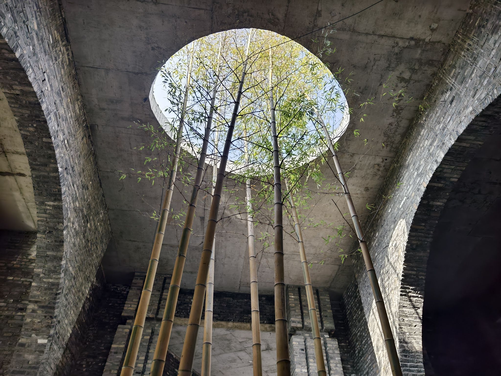 朴园旅行图片 1