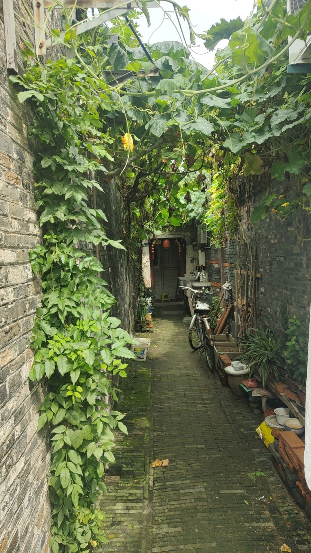 扬州东关街旅行图片 2