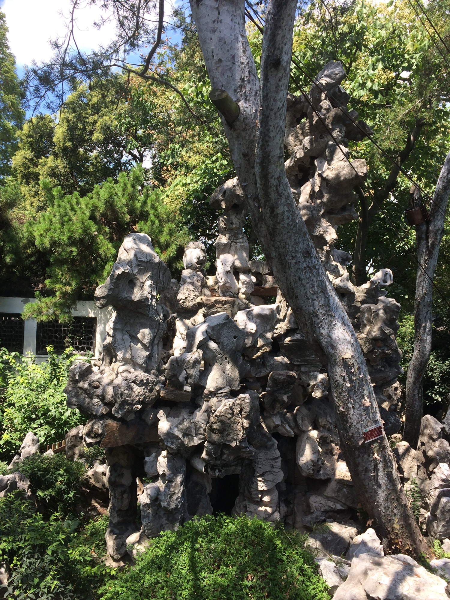 扬州东关街旅行图片 1