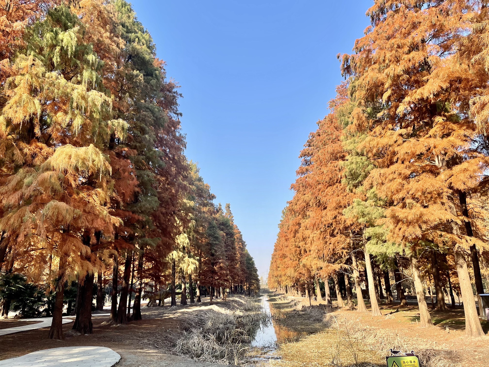 江苏东湖湿地公园旅行图片 3