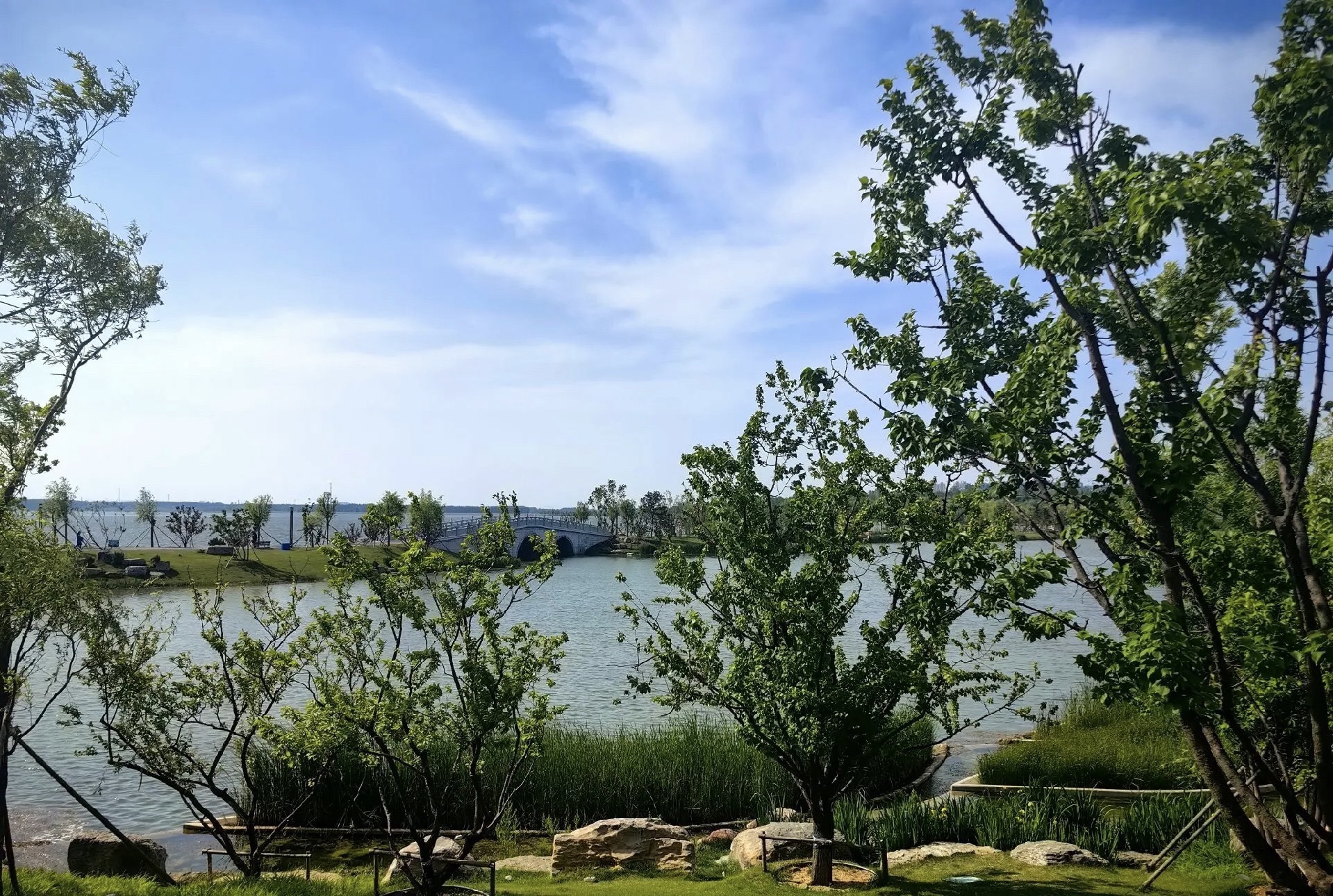 宝应湖国家湿地公园旅行图片 1