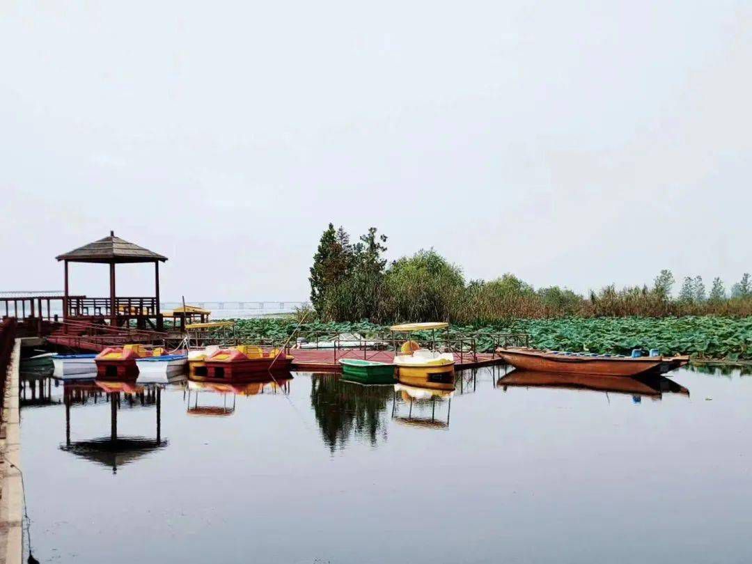 宝应湖国家湿地公园旅行图片 3
