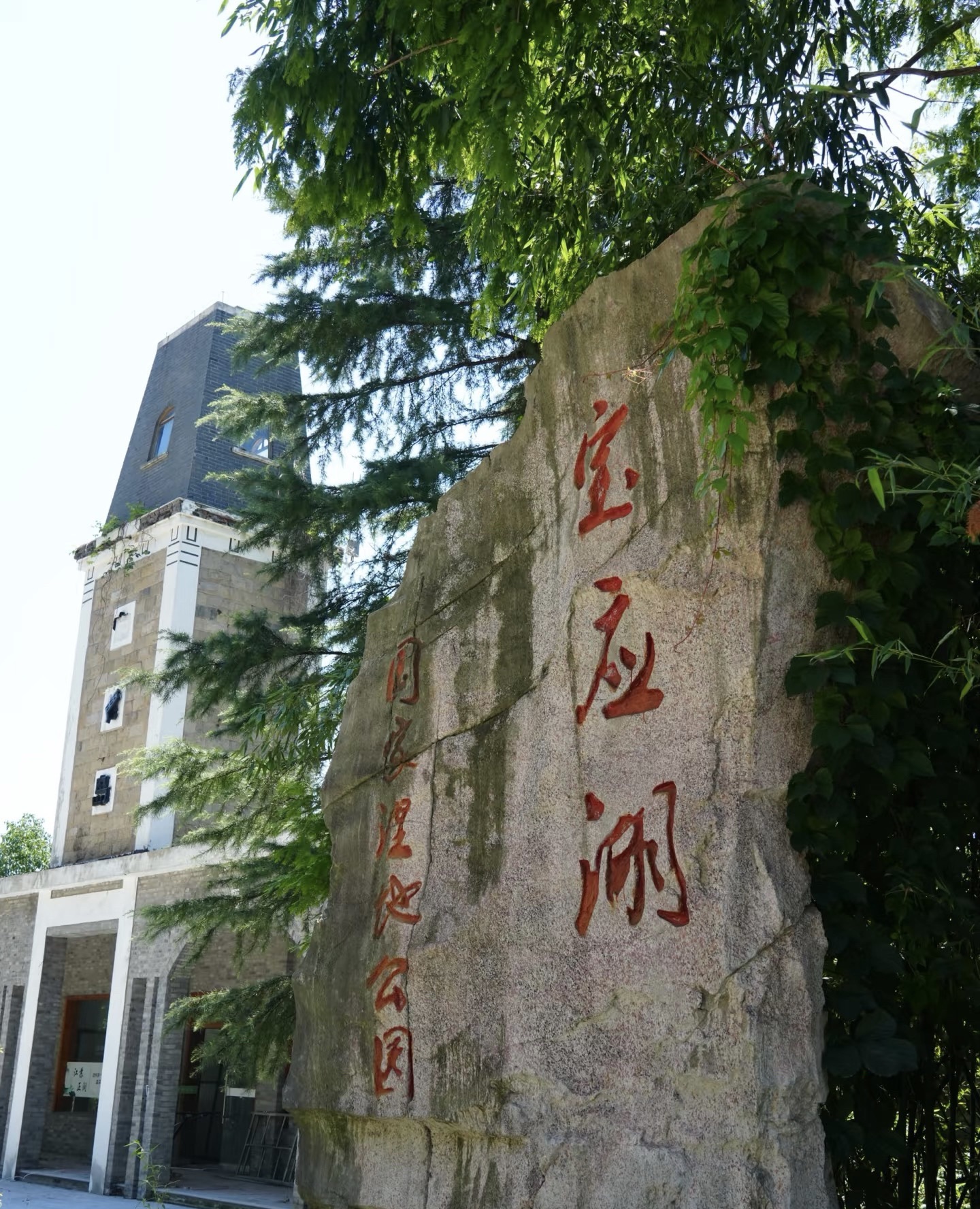 宝应湖国家湿地公园旅行图片 1