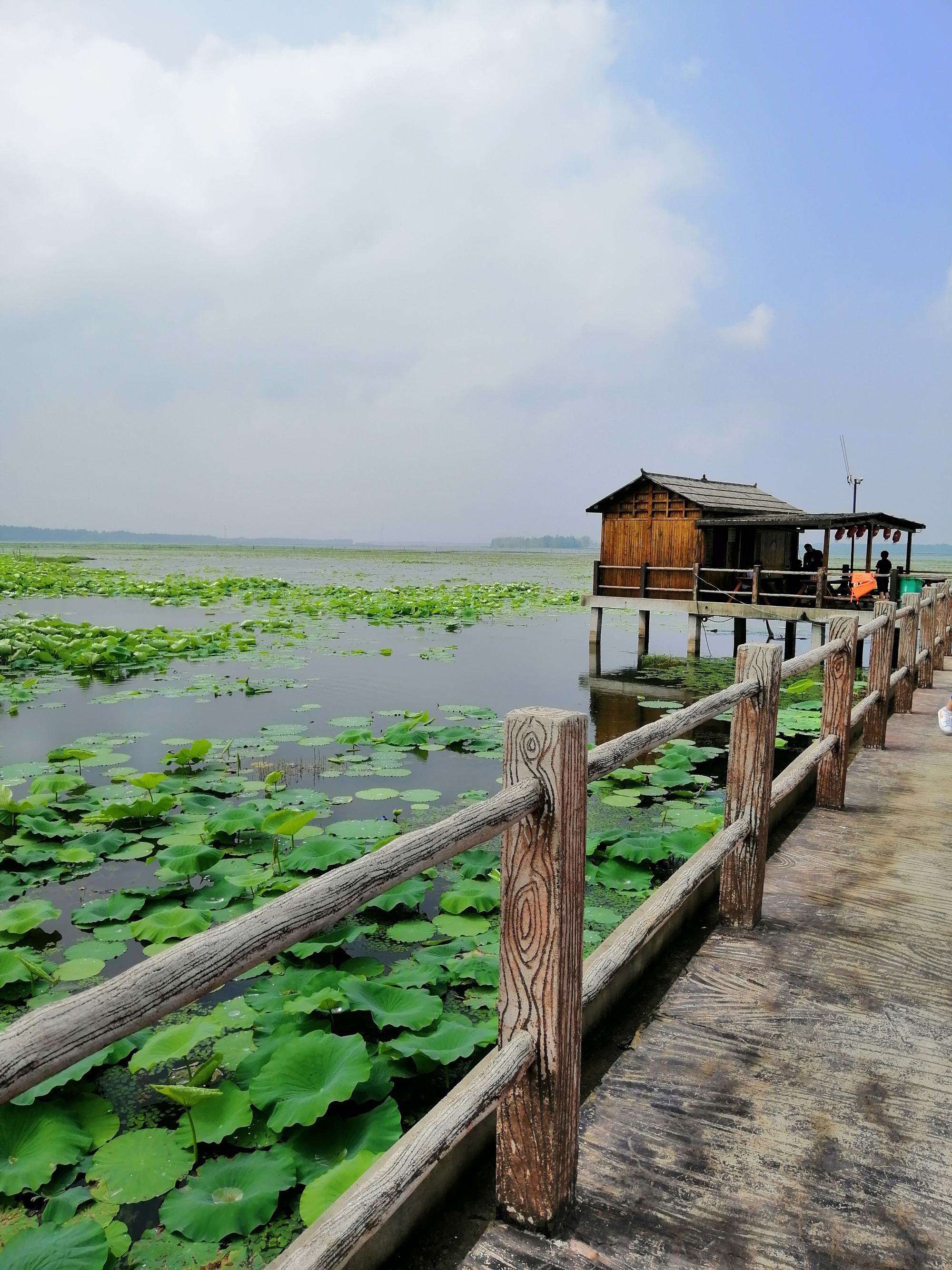 宝应湖国家湿地公园旅行图片 1