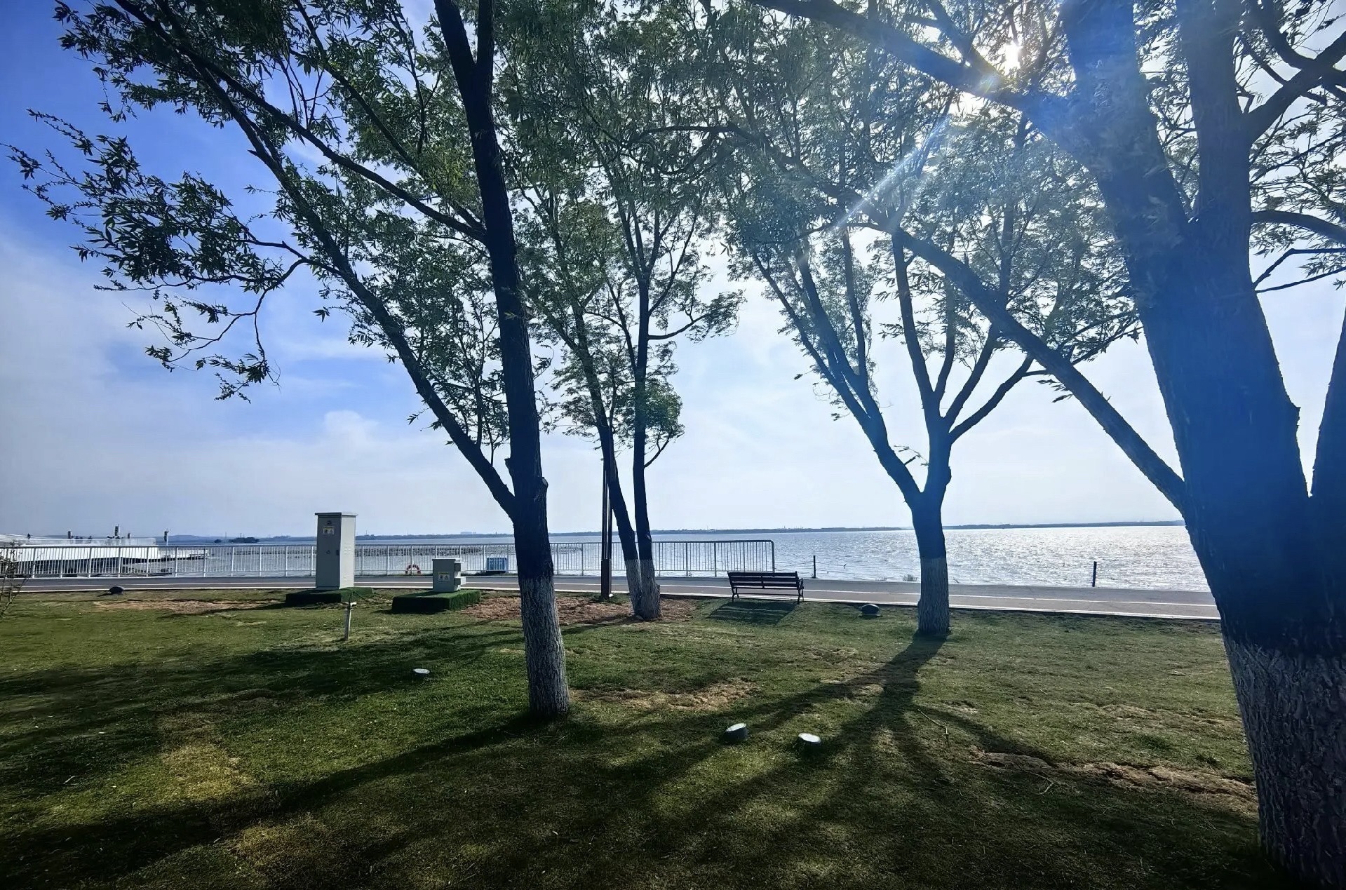 宝应湖国家湿地公园旅行图片 3
